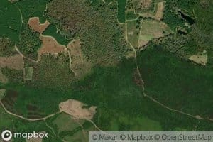 Mount Hope Swamp