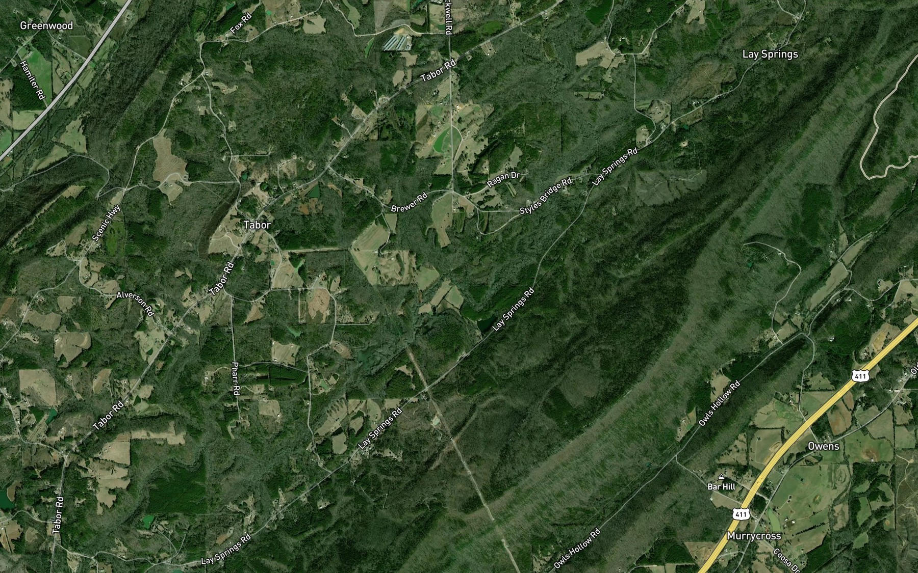 Satellite map of the Spring Branch