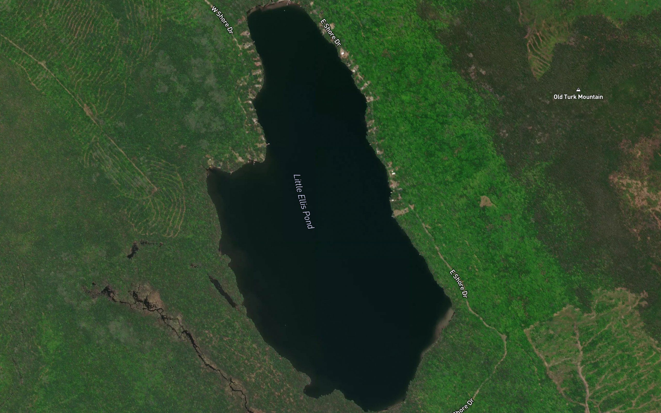 Little Ellis Pond