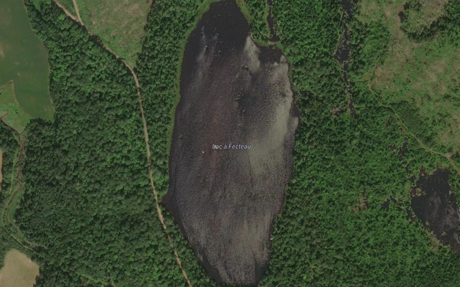 Satellite map of the Lac a Fecteau