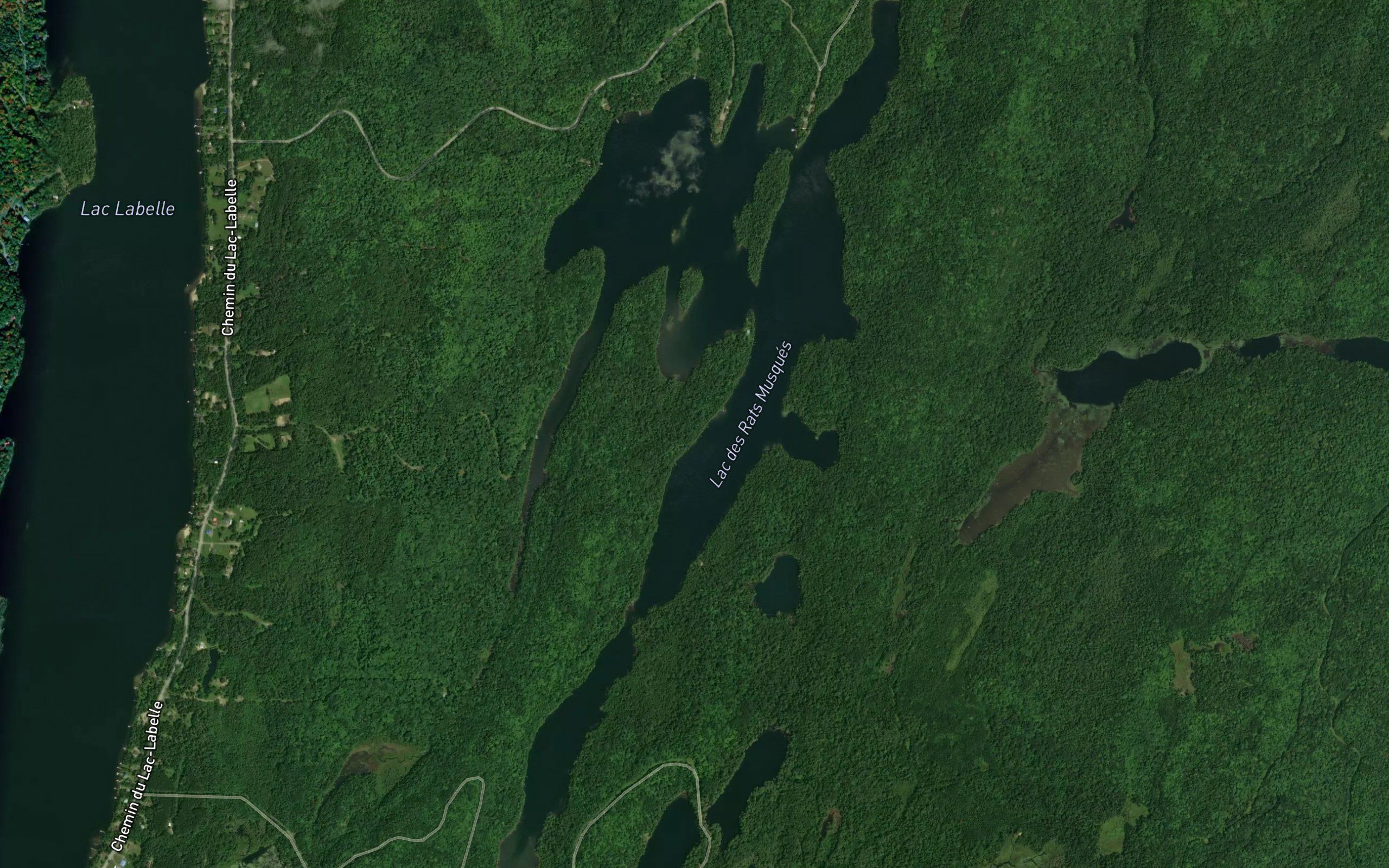 Lac des Rats Musques