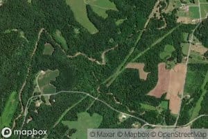 Manns Fork Salt Creek