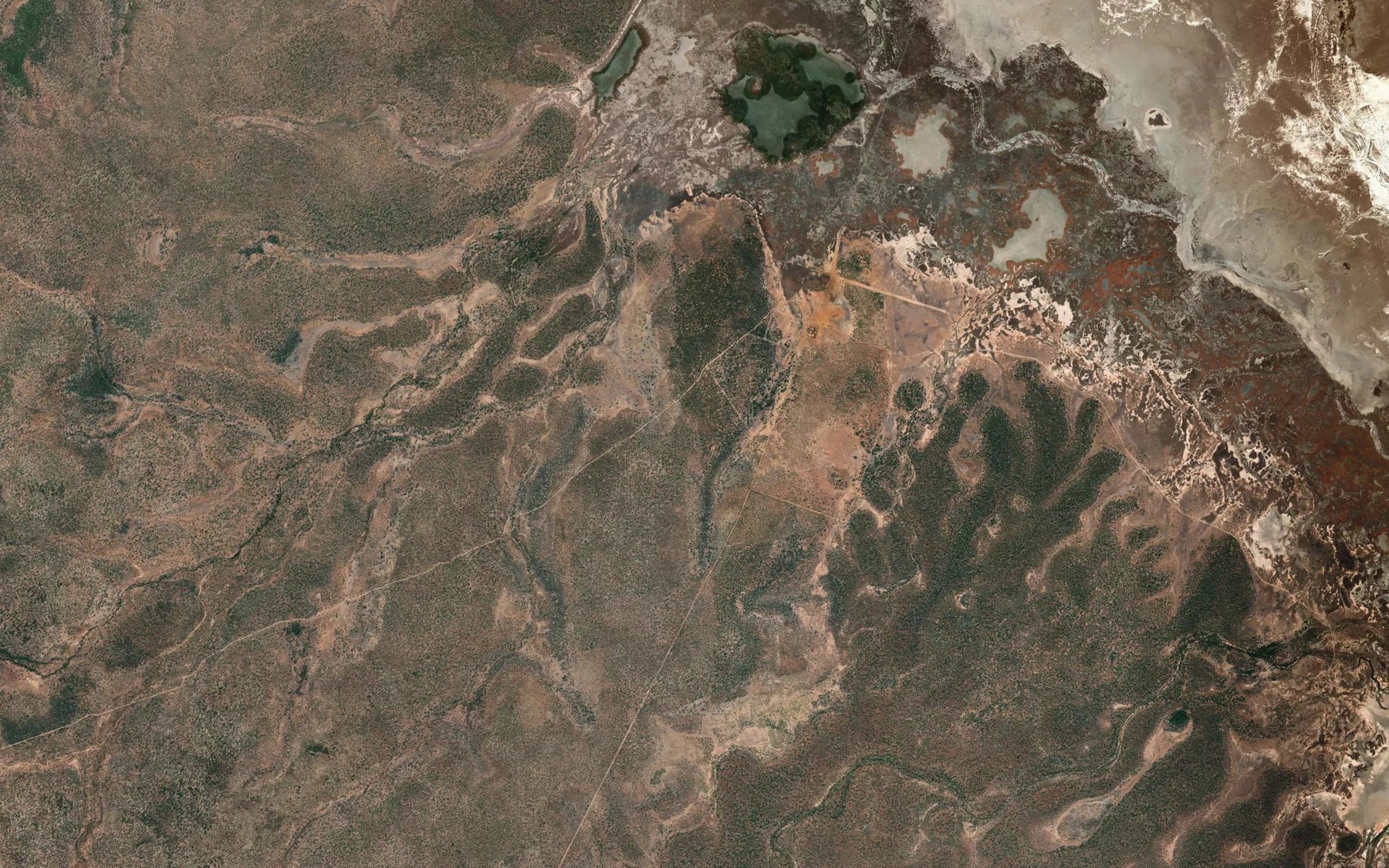 Satellite map of the Calf Springs