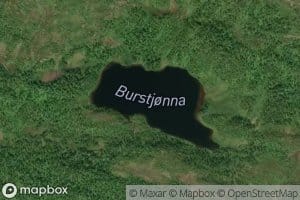Burstjorna