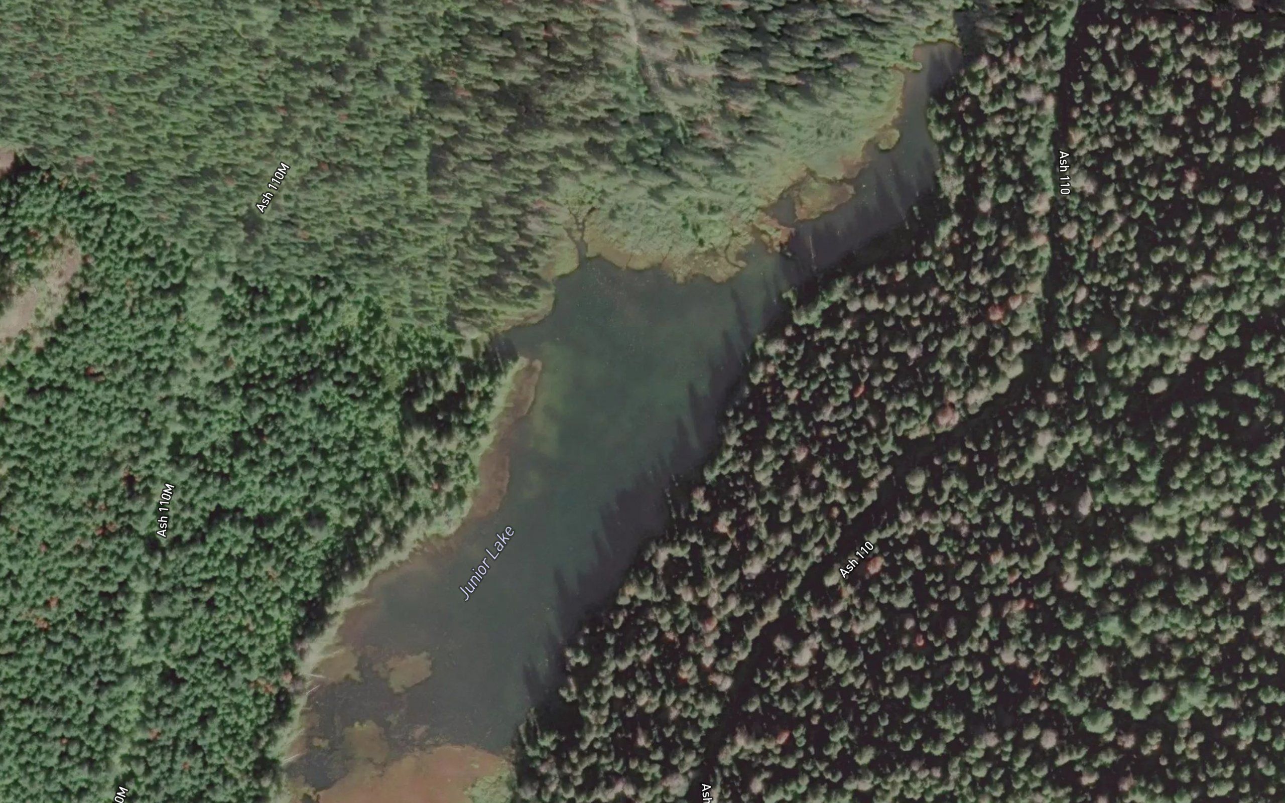 Junior Lake