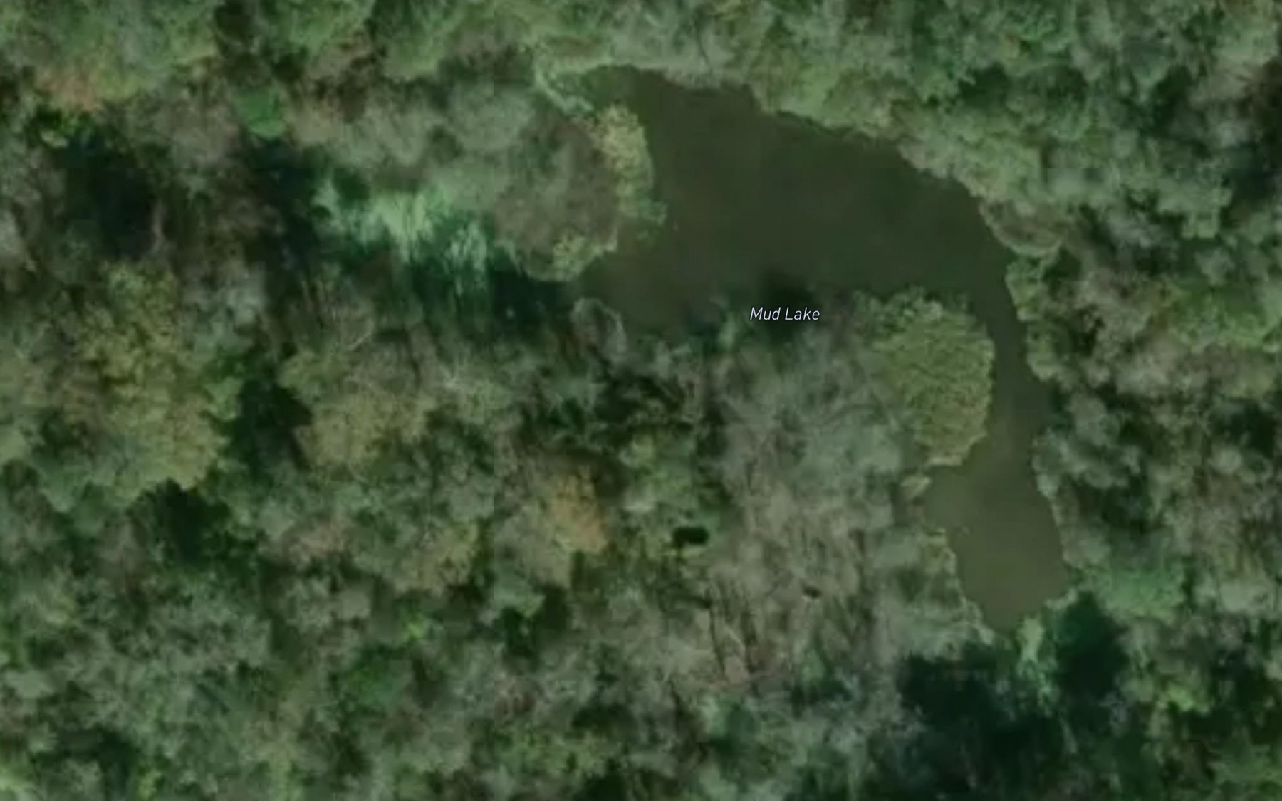 Satellite map of the Mud Lake