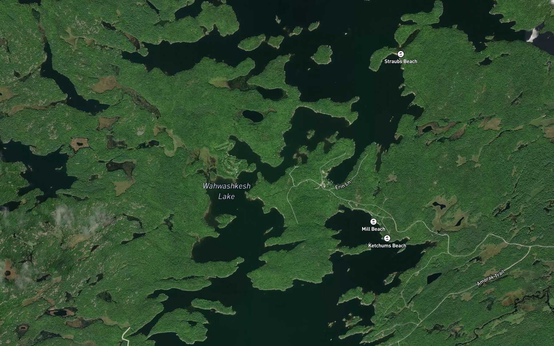 Satellite map of the Wahwashkesh Lake