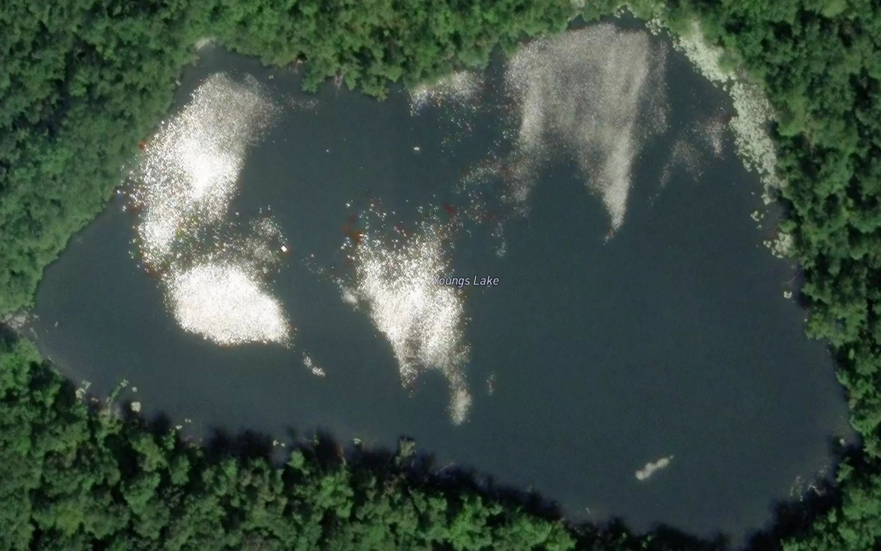 Satellite map of the Youngs Lake