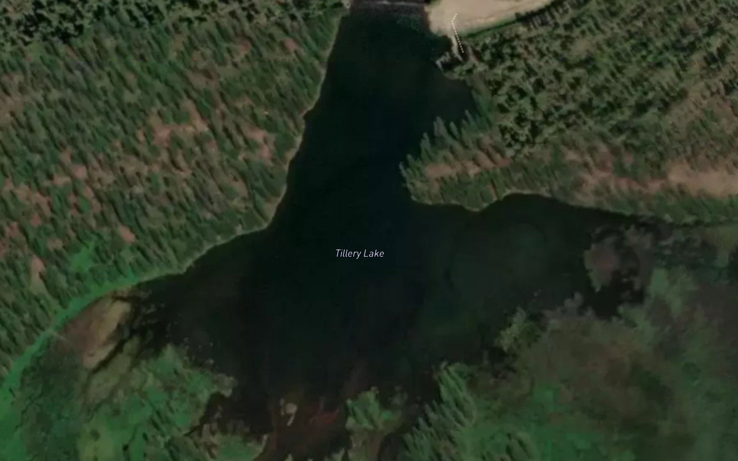 Tillery Lake