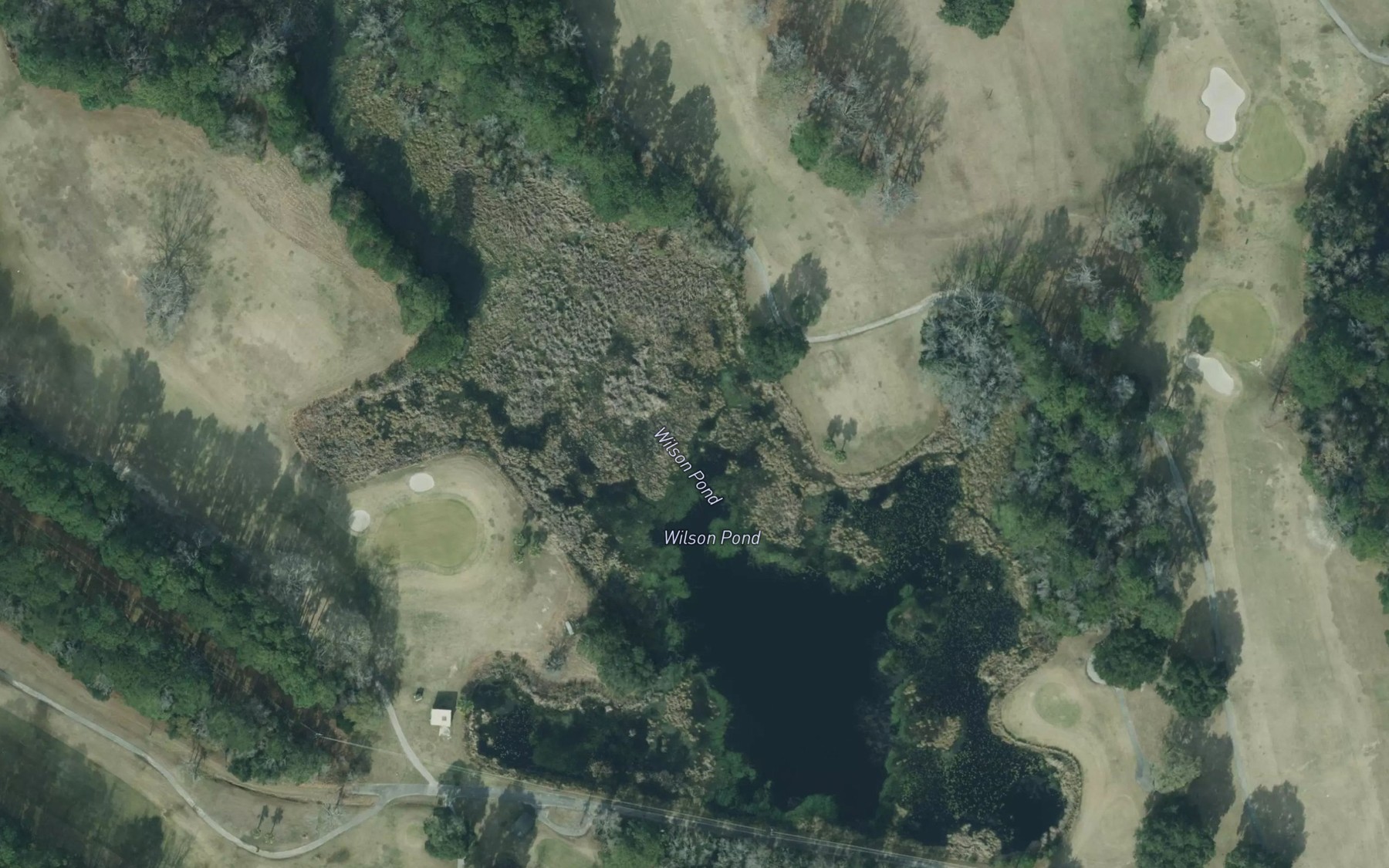 Satellite map of the Wilson Pond