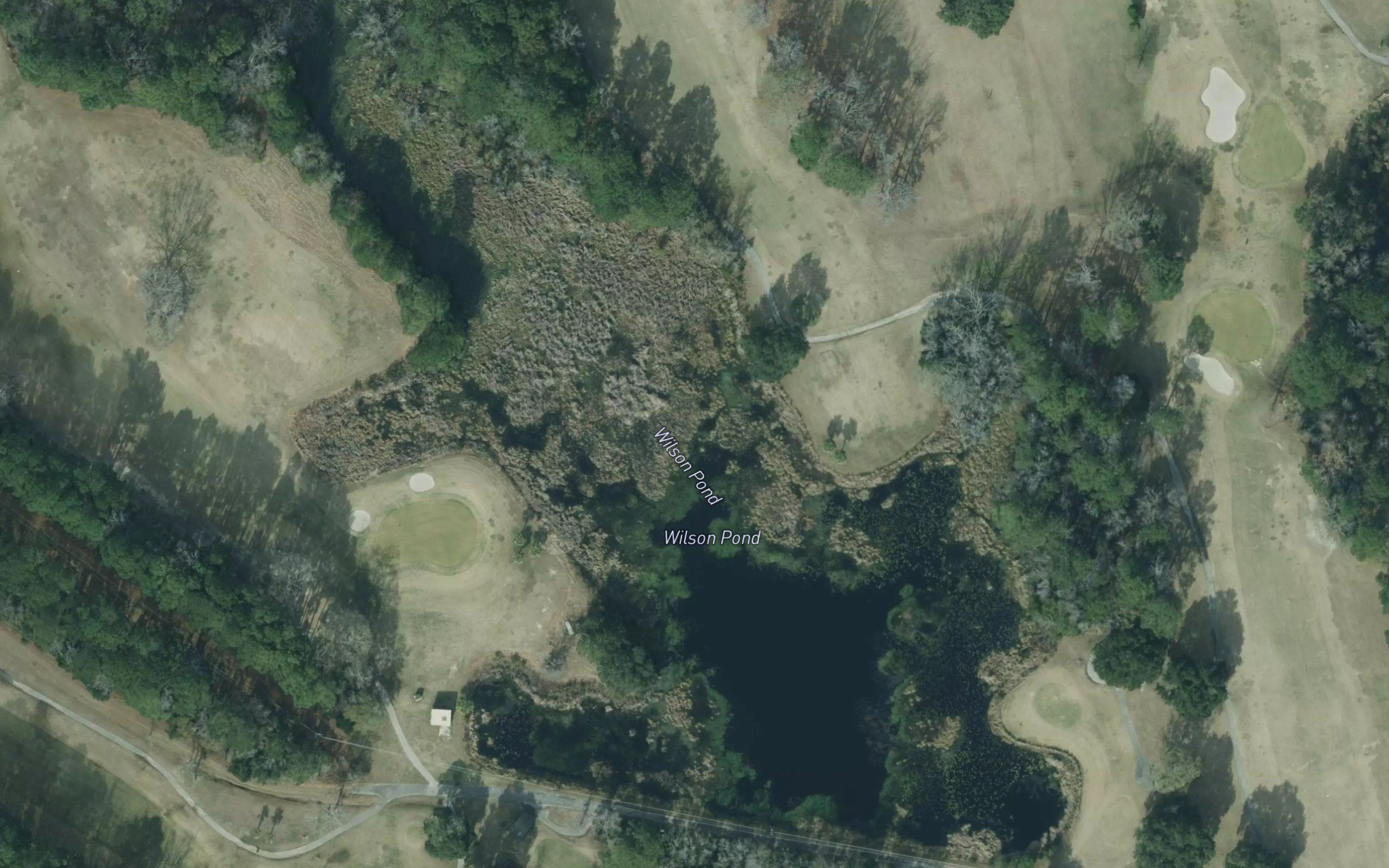 Wilson Pond
