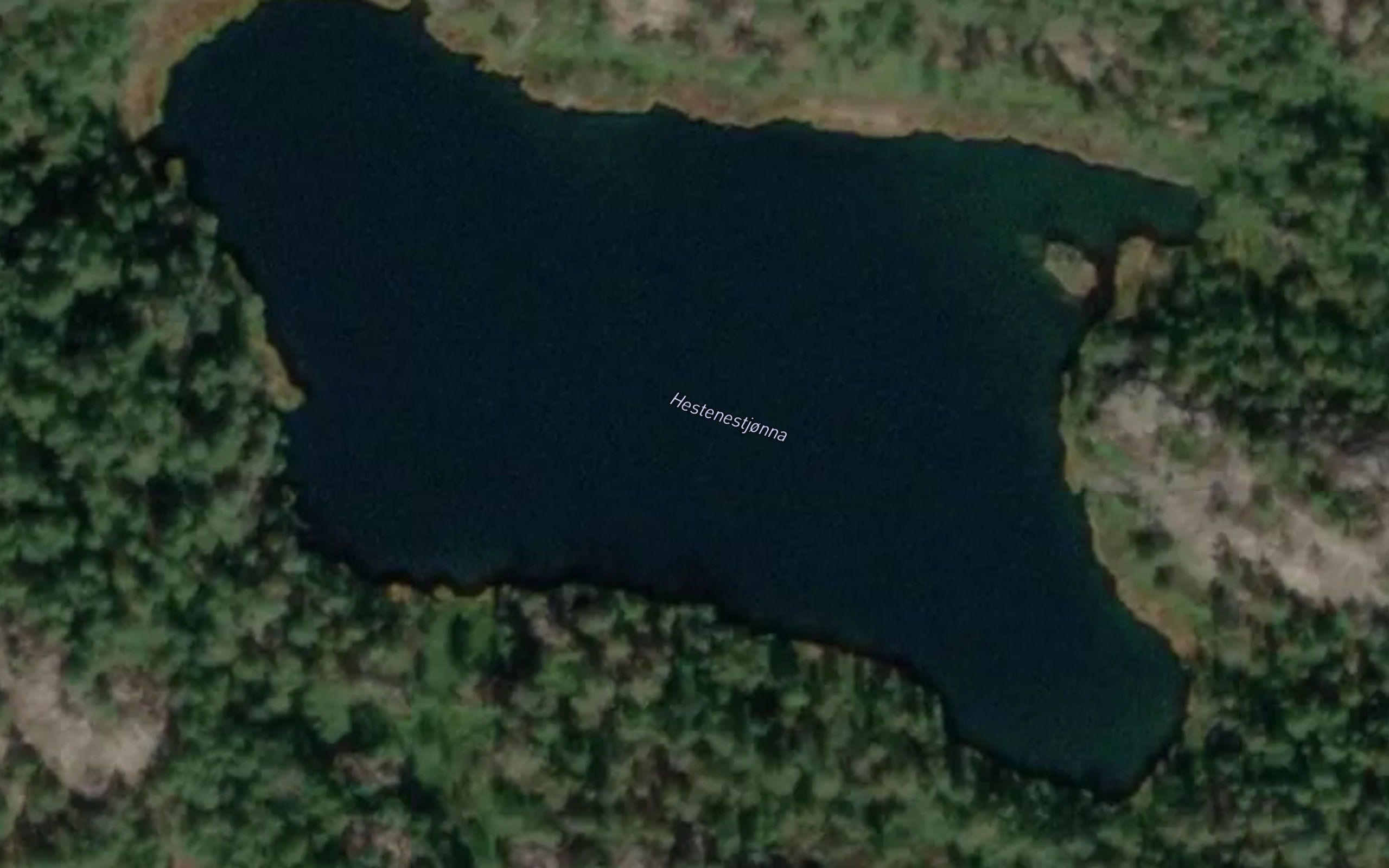 Hestenestjorna