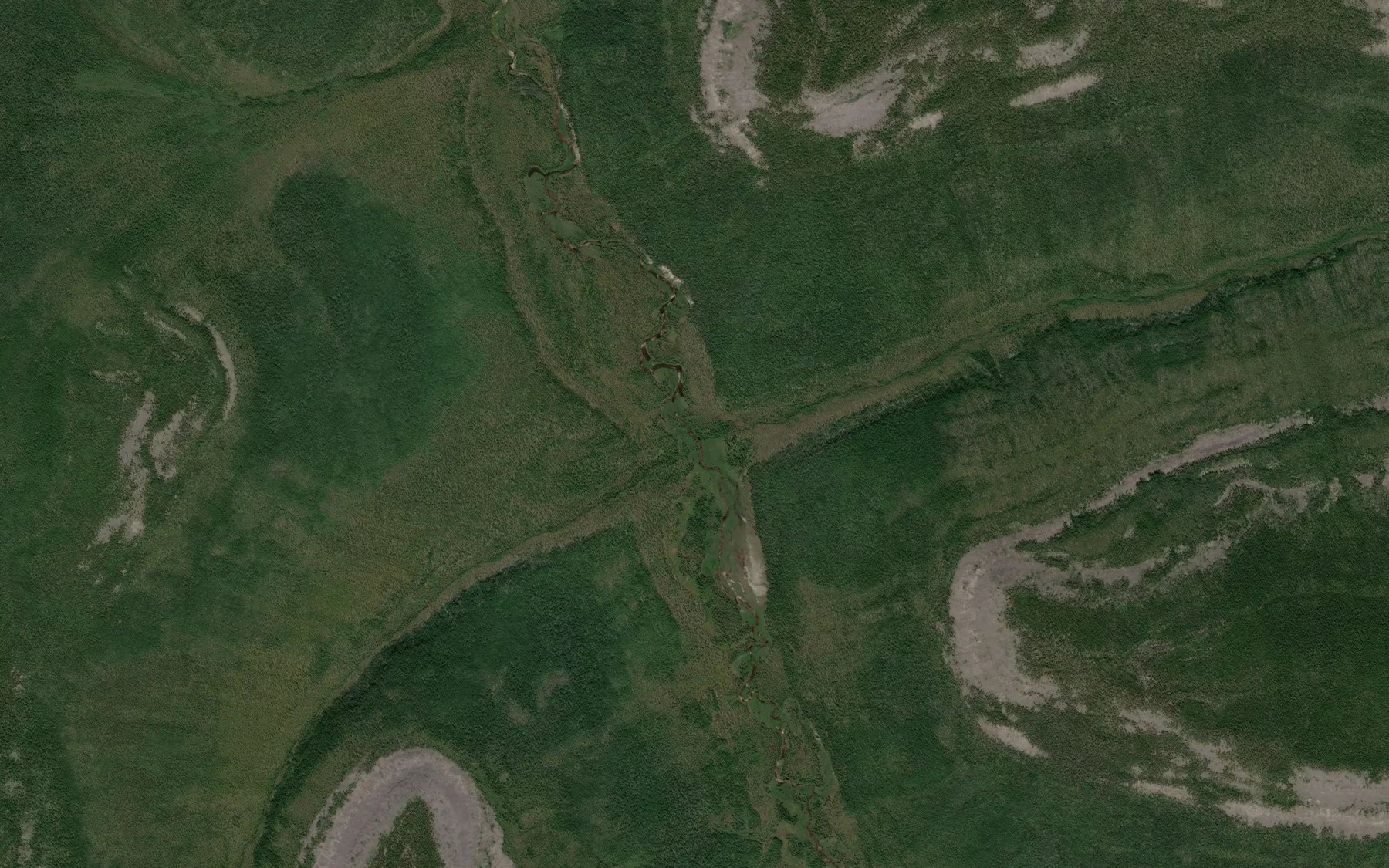 Satellite map of the Vetvistyy