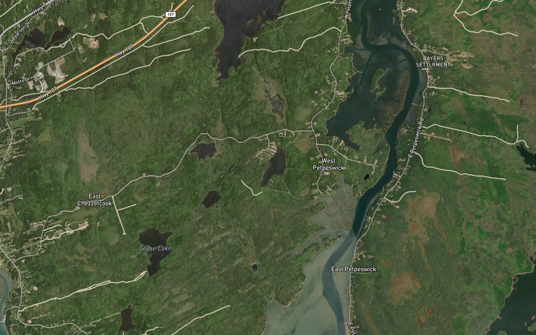 Satellite map of the Dark Pond