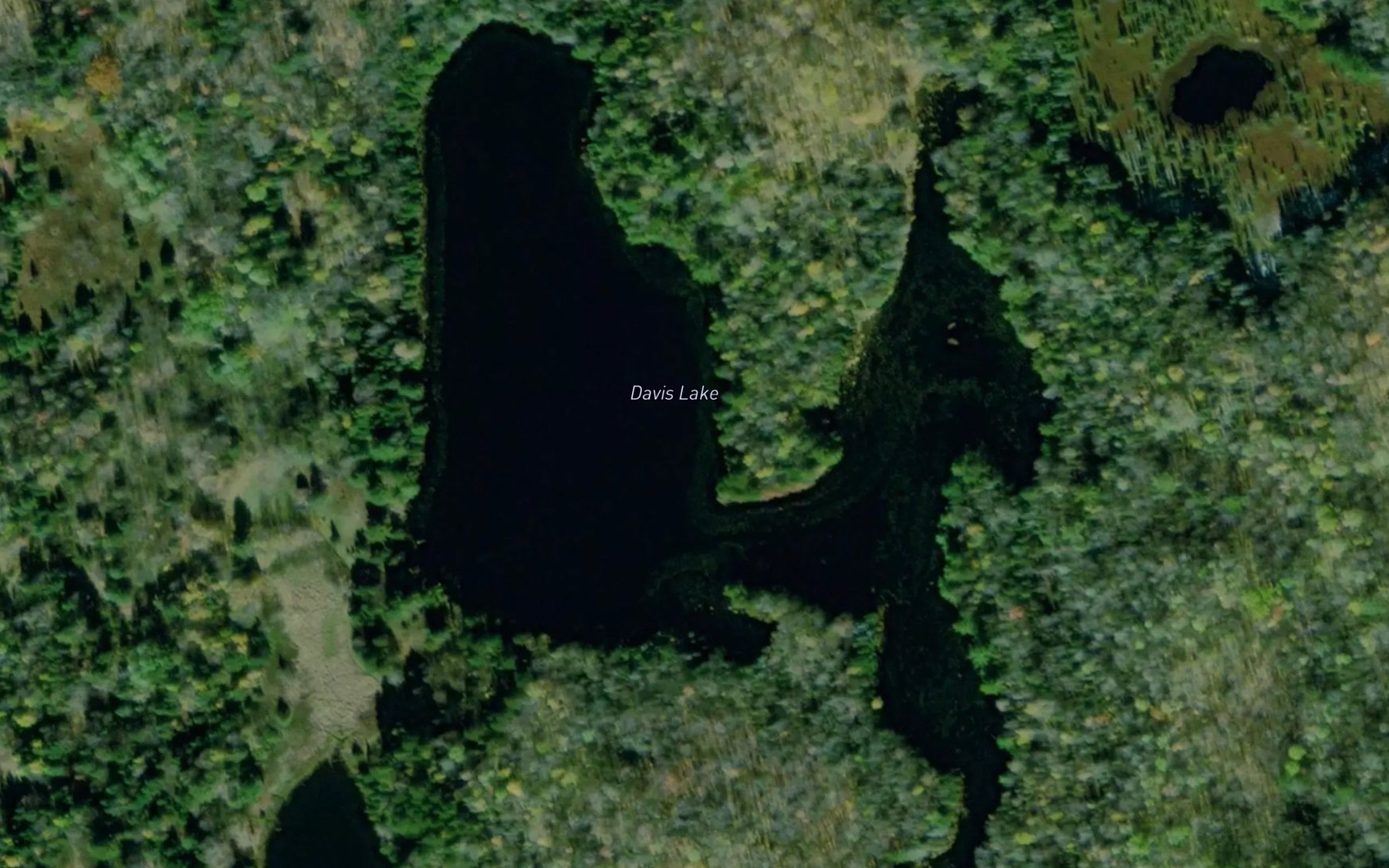 Satellite map of the Davis Lake