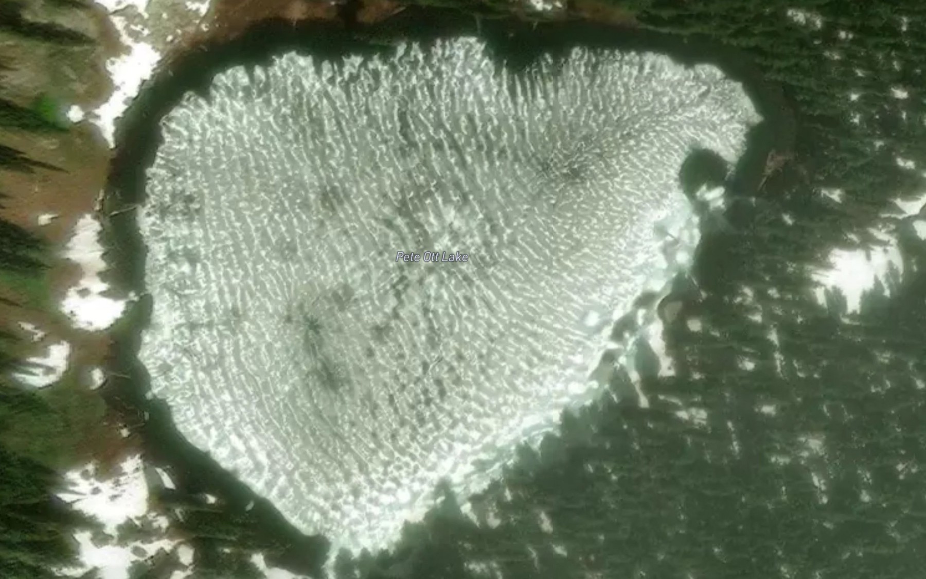 Satellite map of the Pete Ott Lake