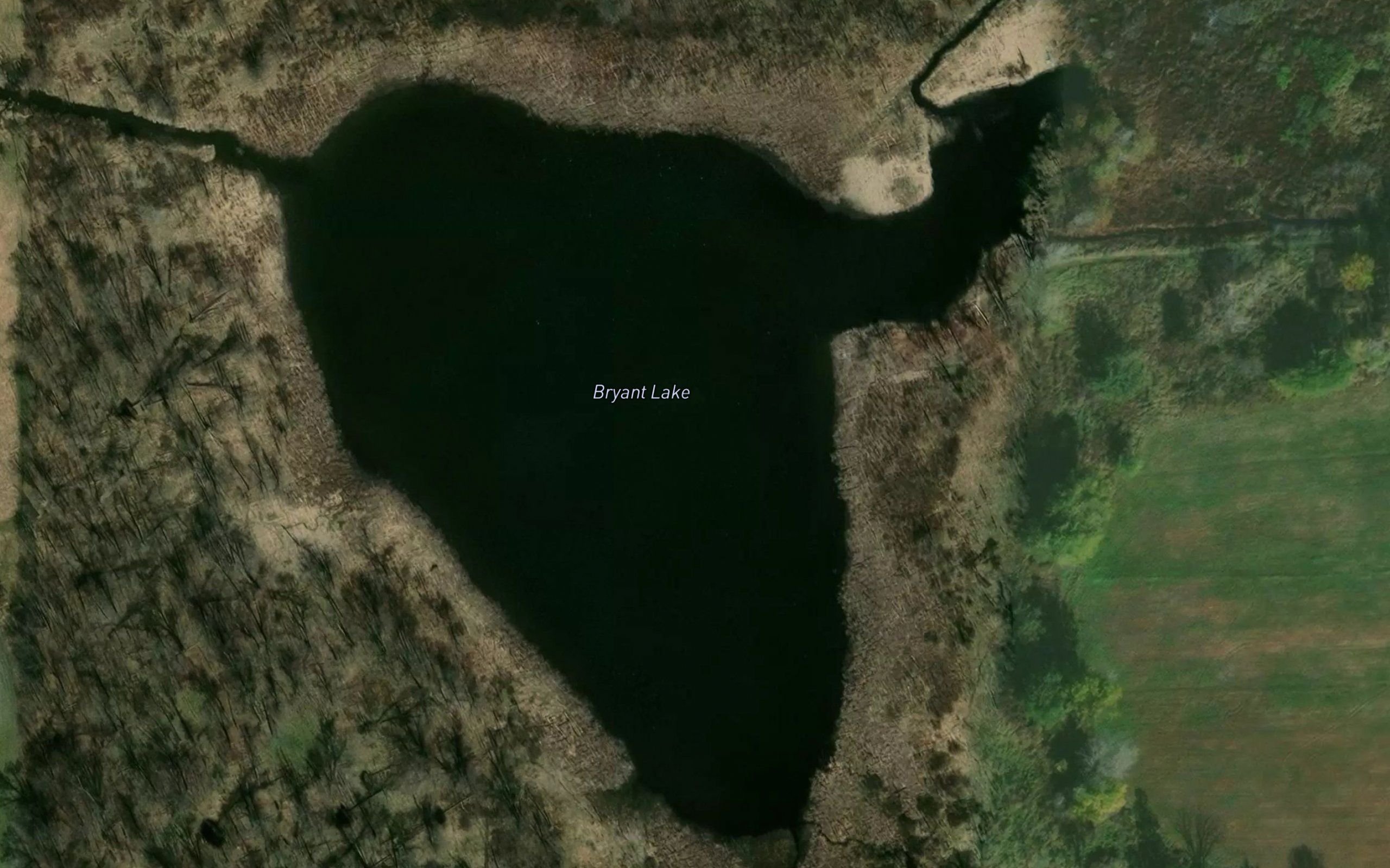 Bryant Lake