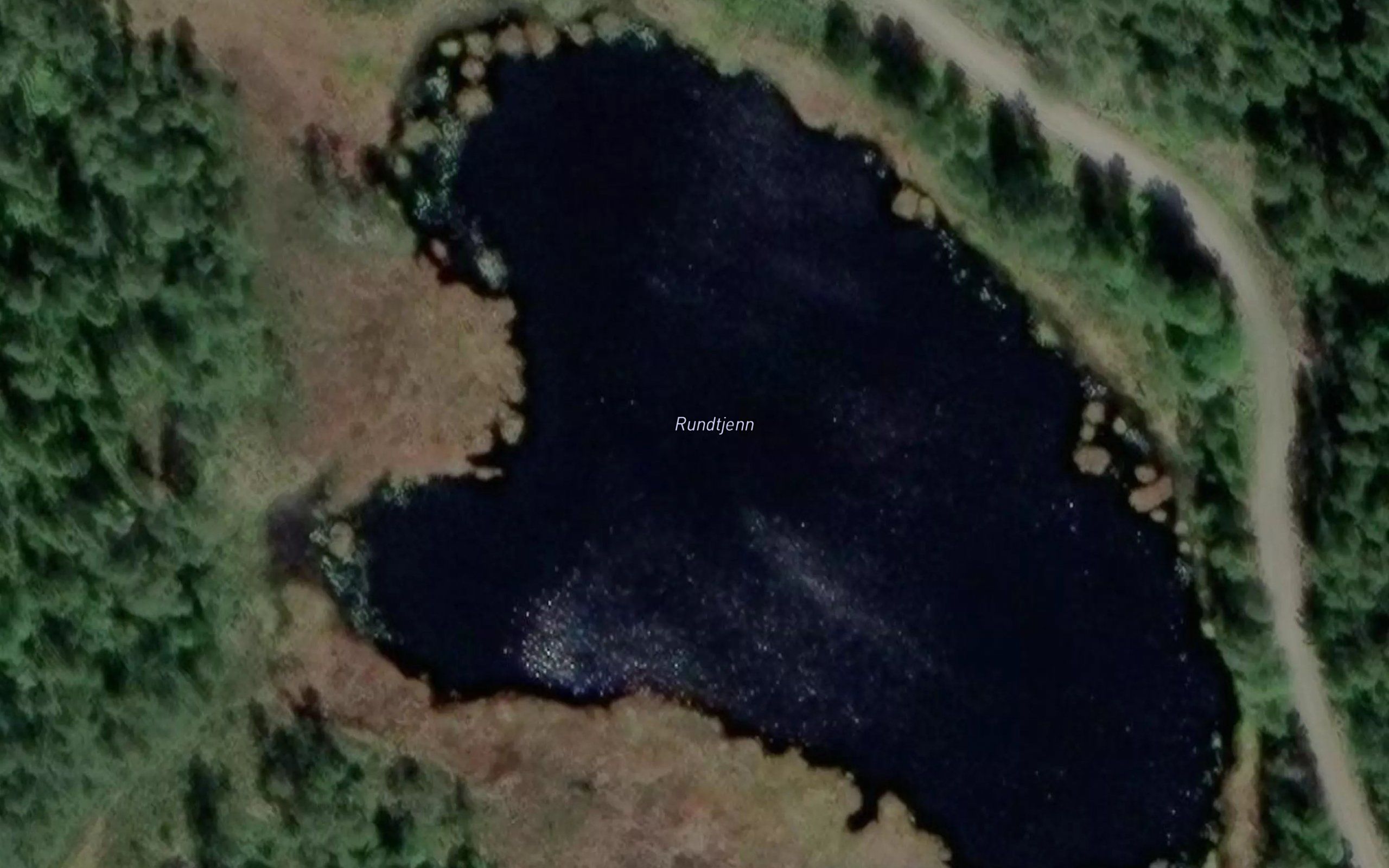 Rundtjern