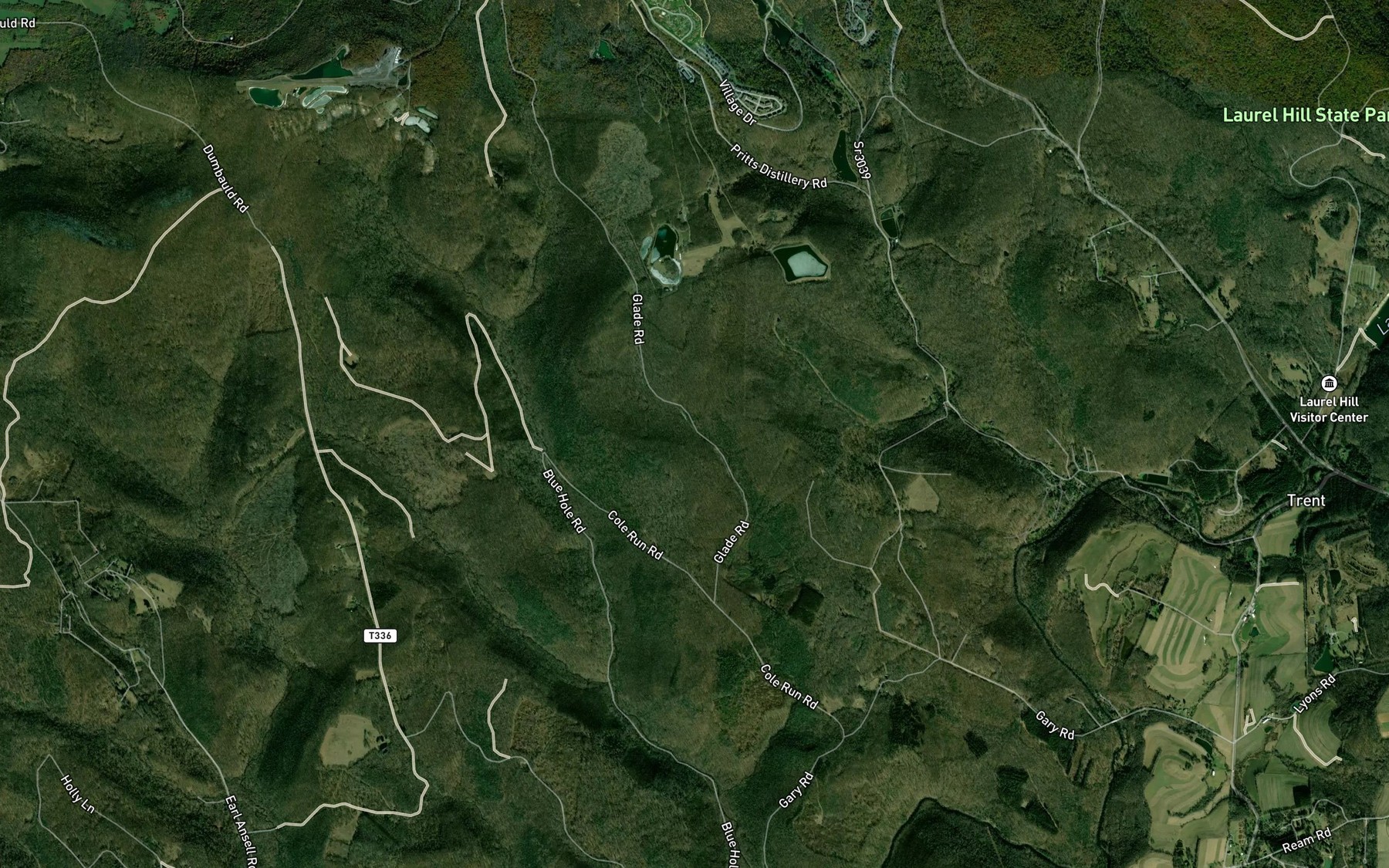 Satellite map of the Paterson Spring