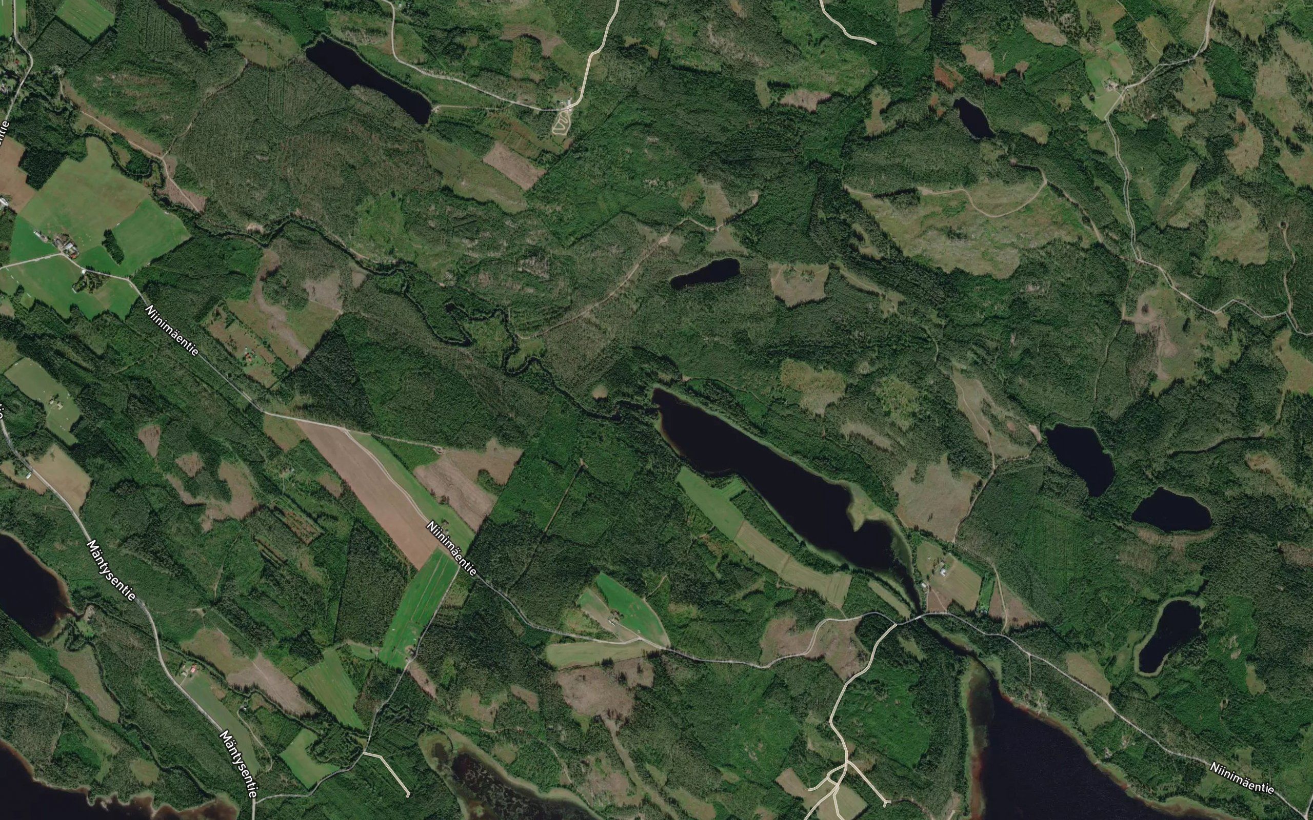 Hirmujoki