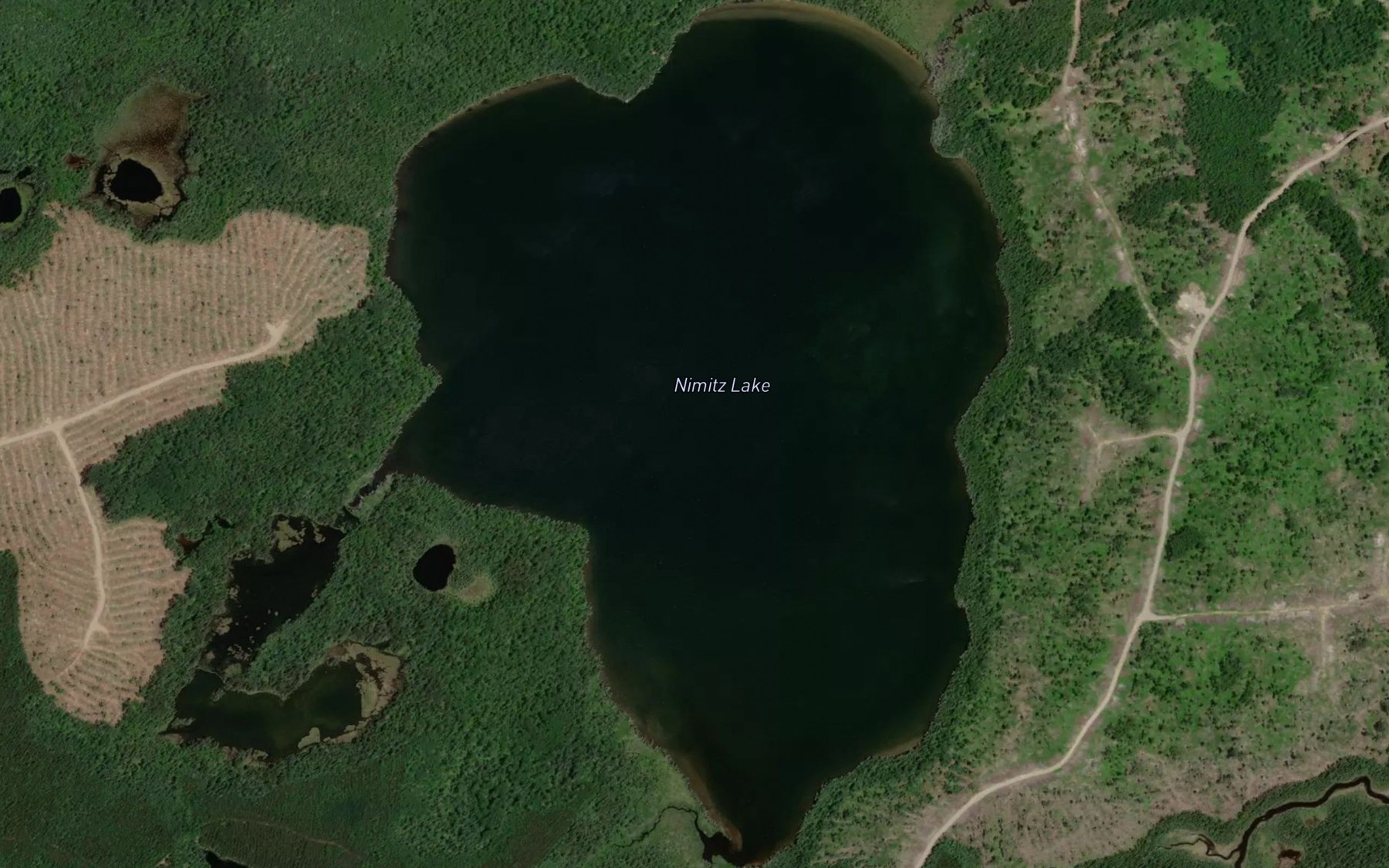 Satellite map of the Nimitz Lake