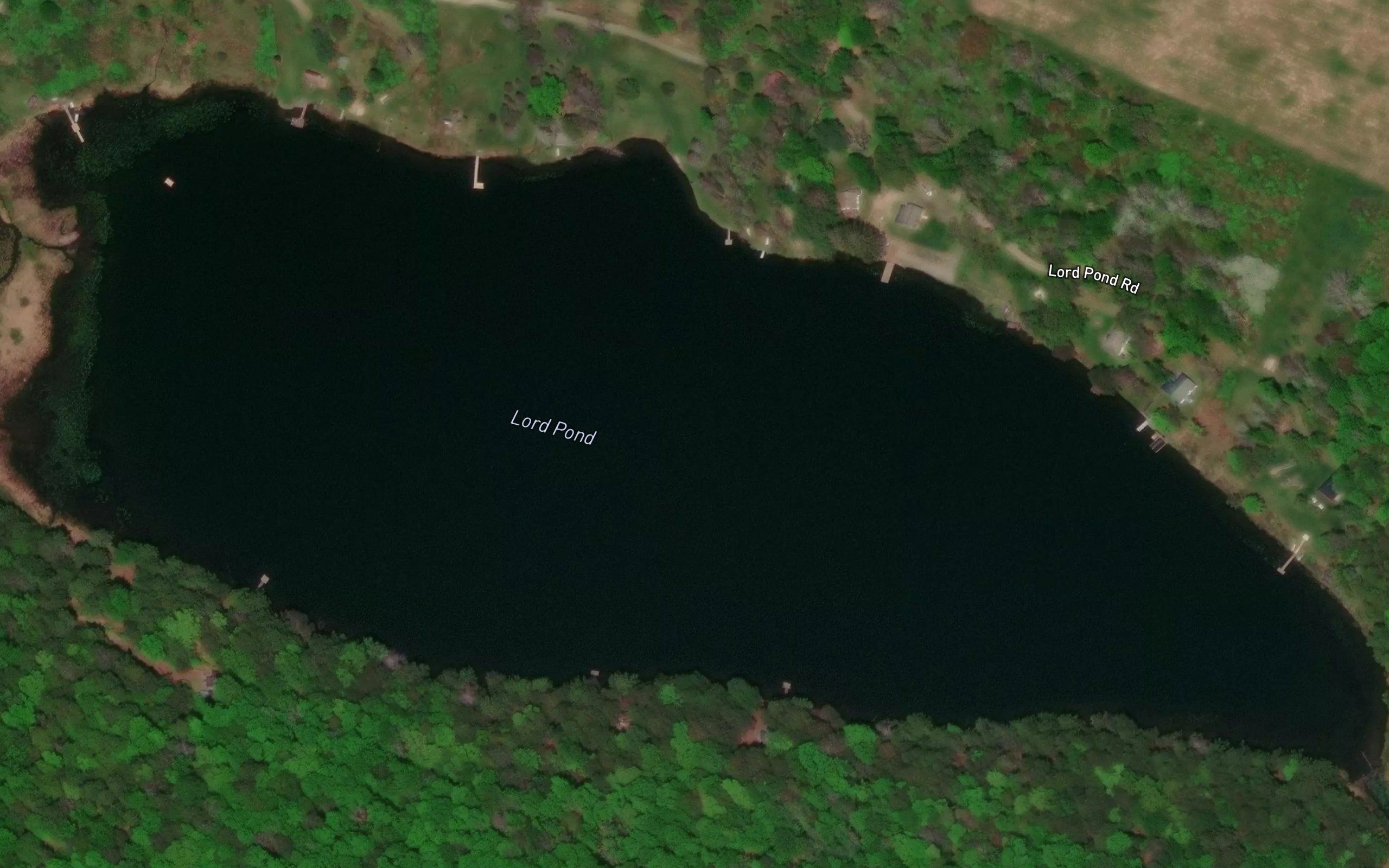 Lord Pond