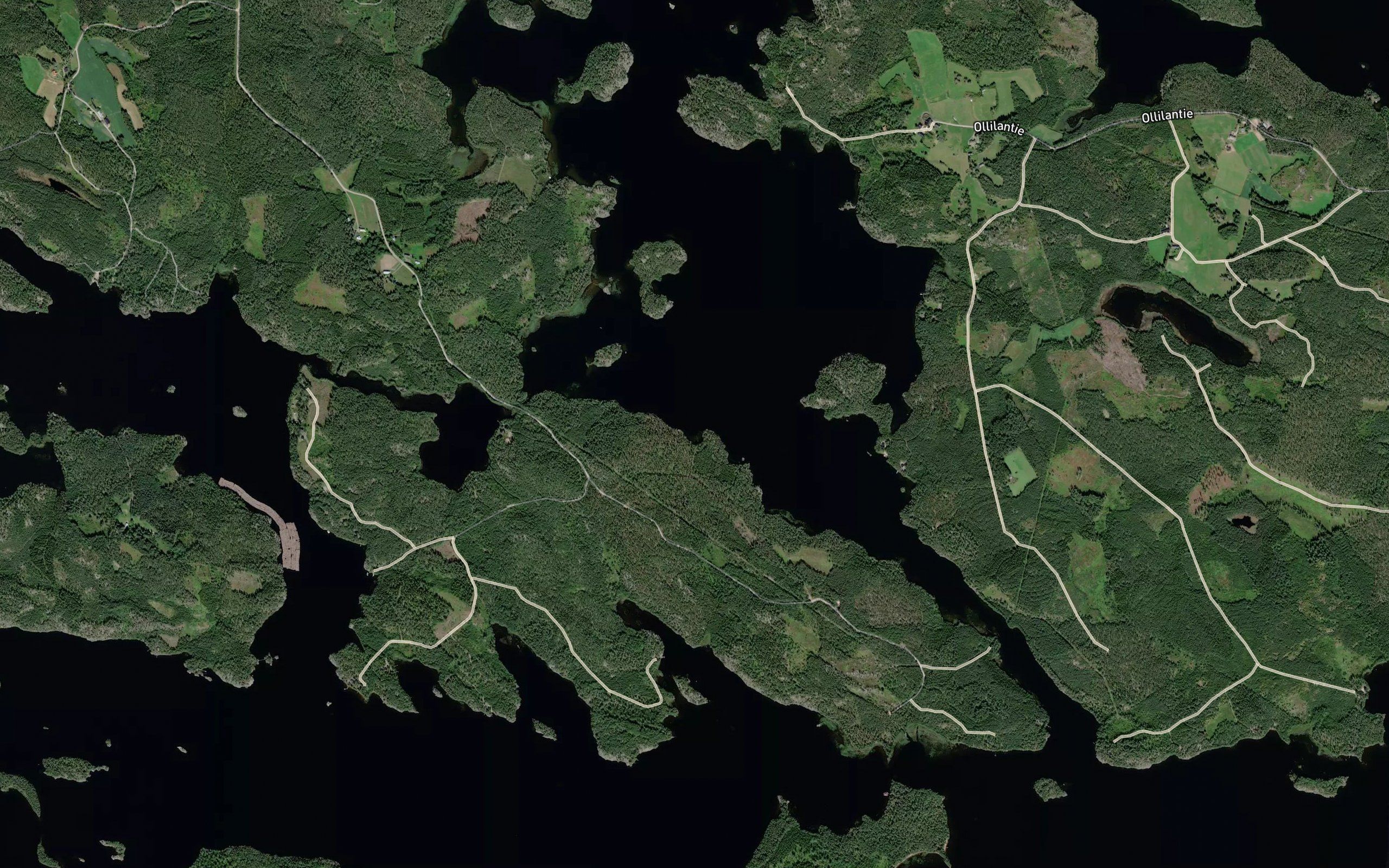 Polkkylahti
