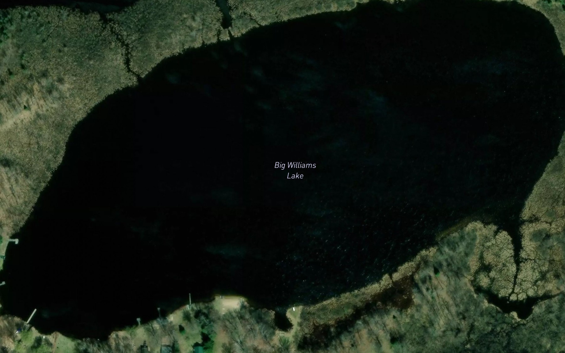 Satellite map of the Big Williams Lake