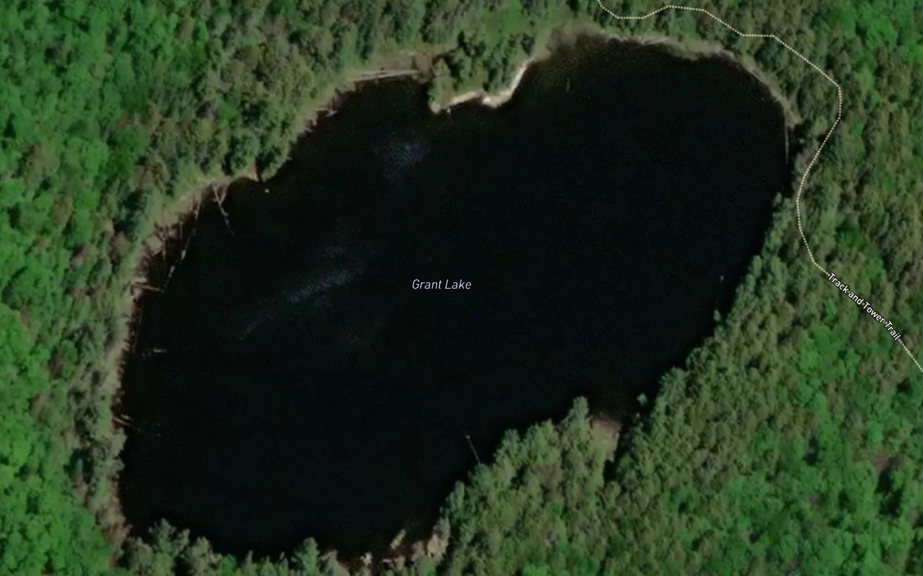 Satellite map of the Grant Lake