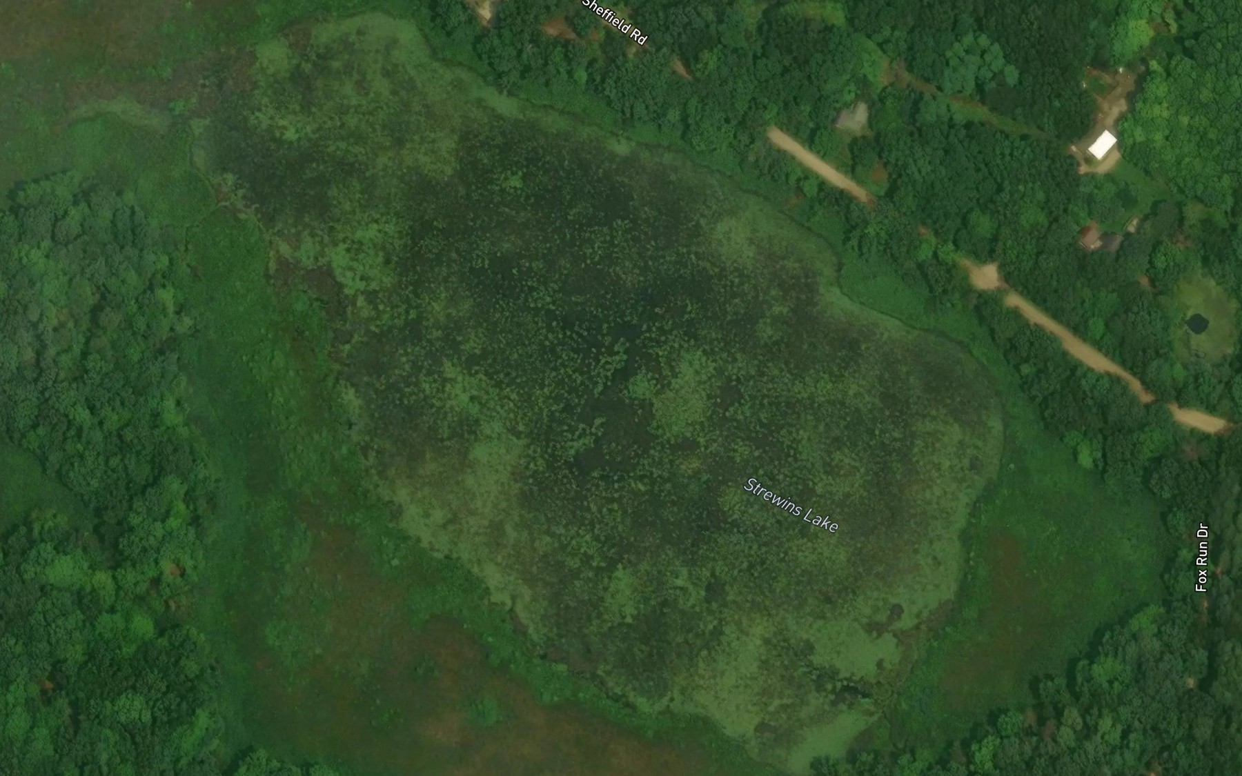 Satellite map of the Strewins Lake