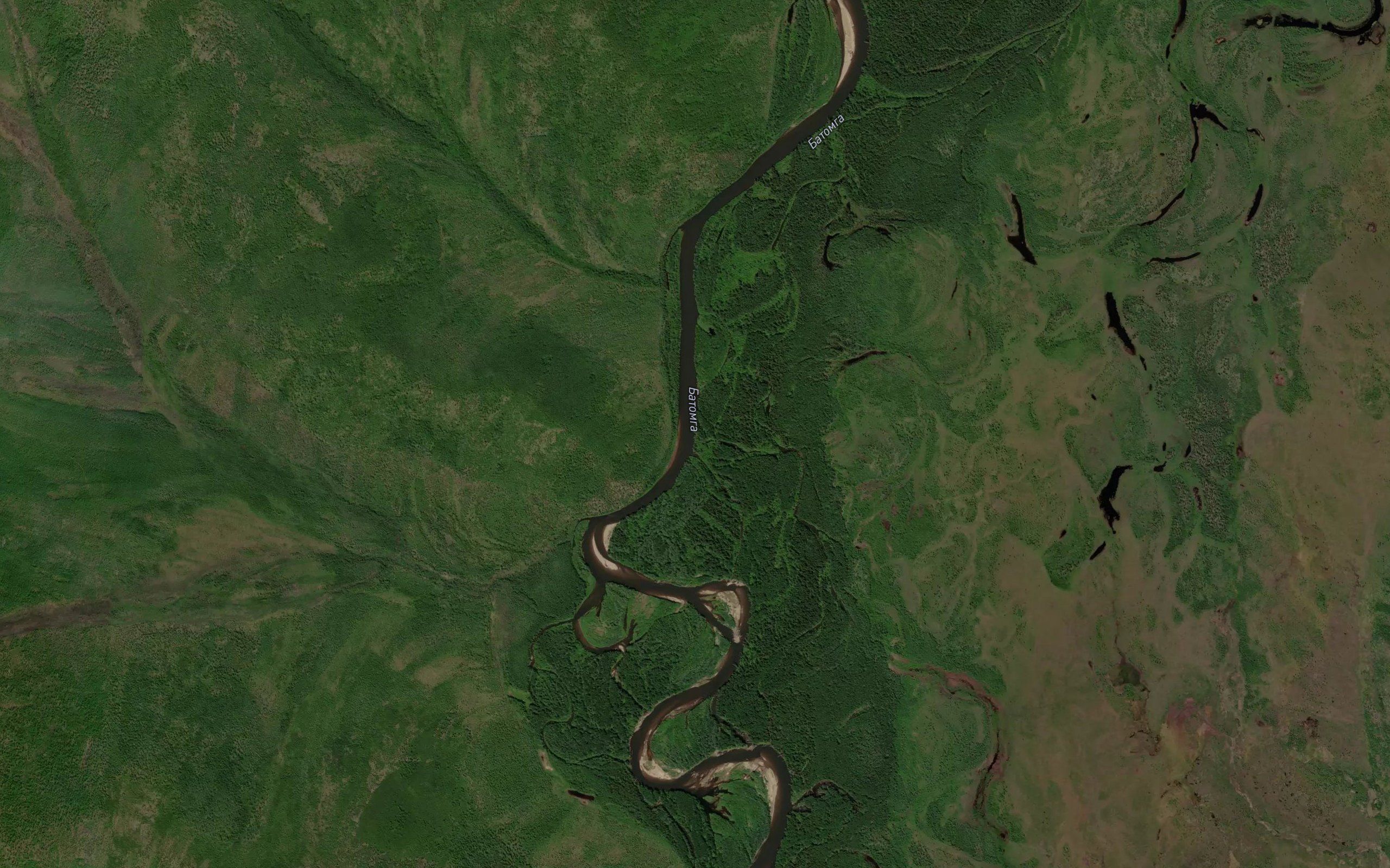 Tikhiy