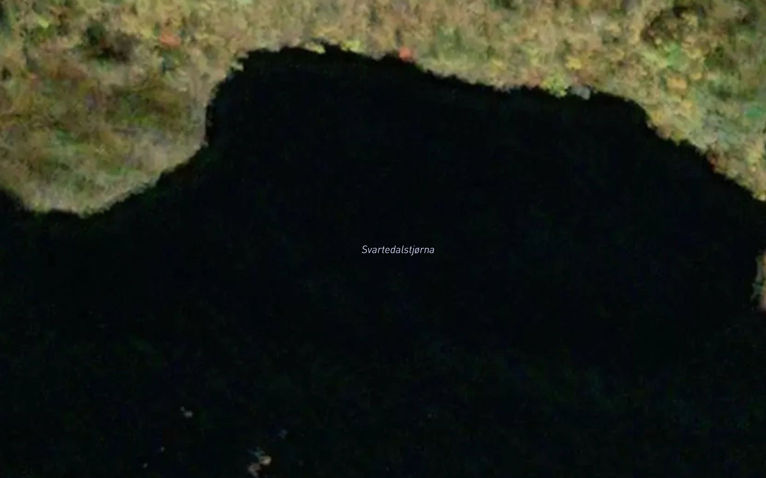 Svartedalstjorni