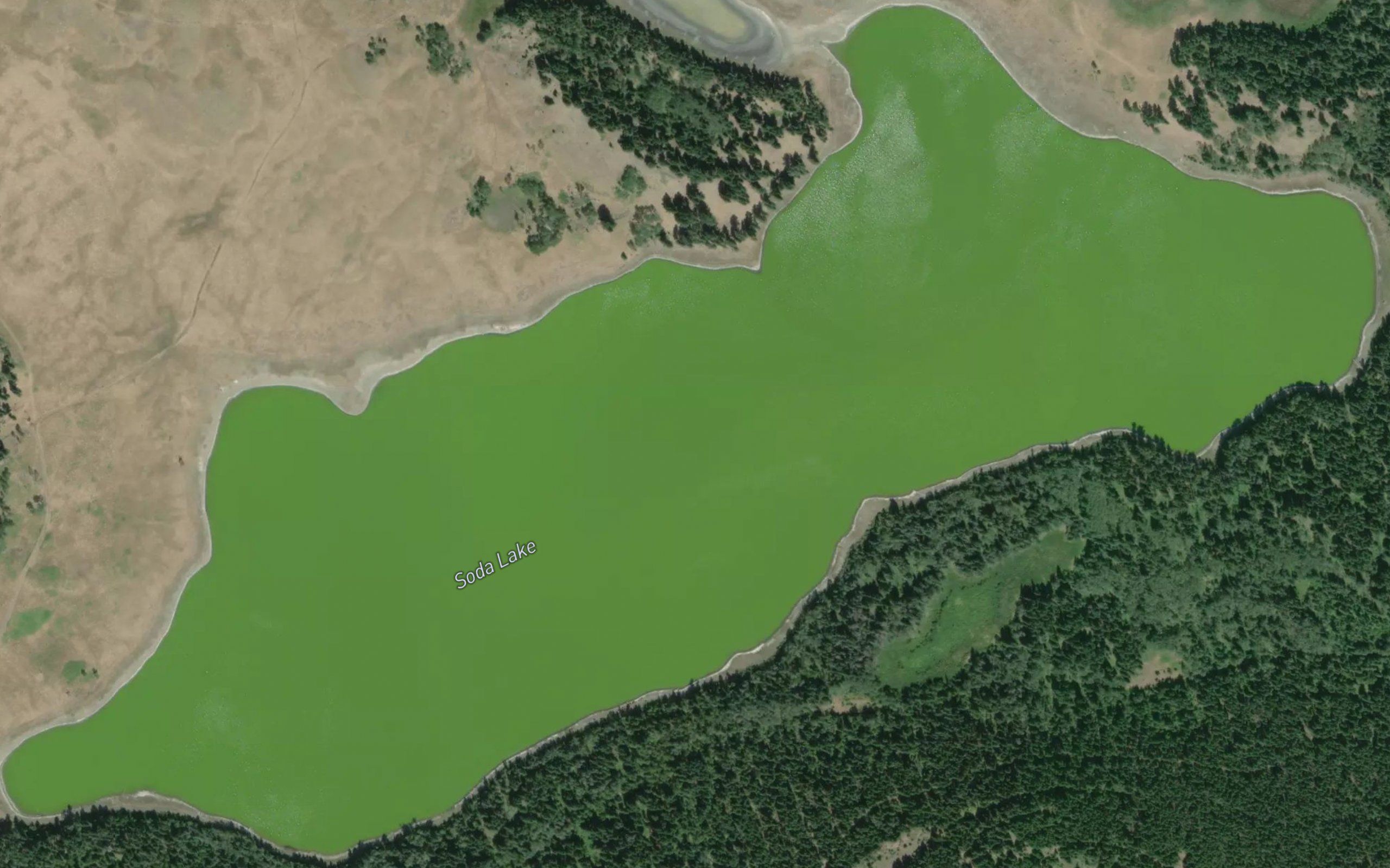 Soda Lake