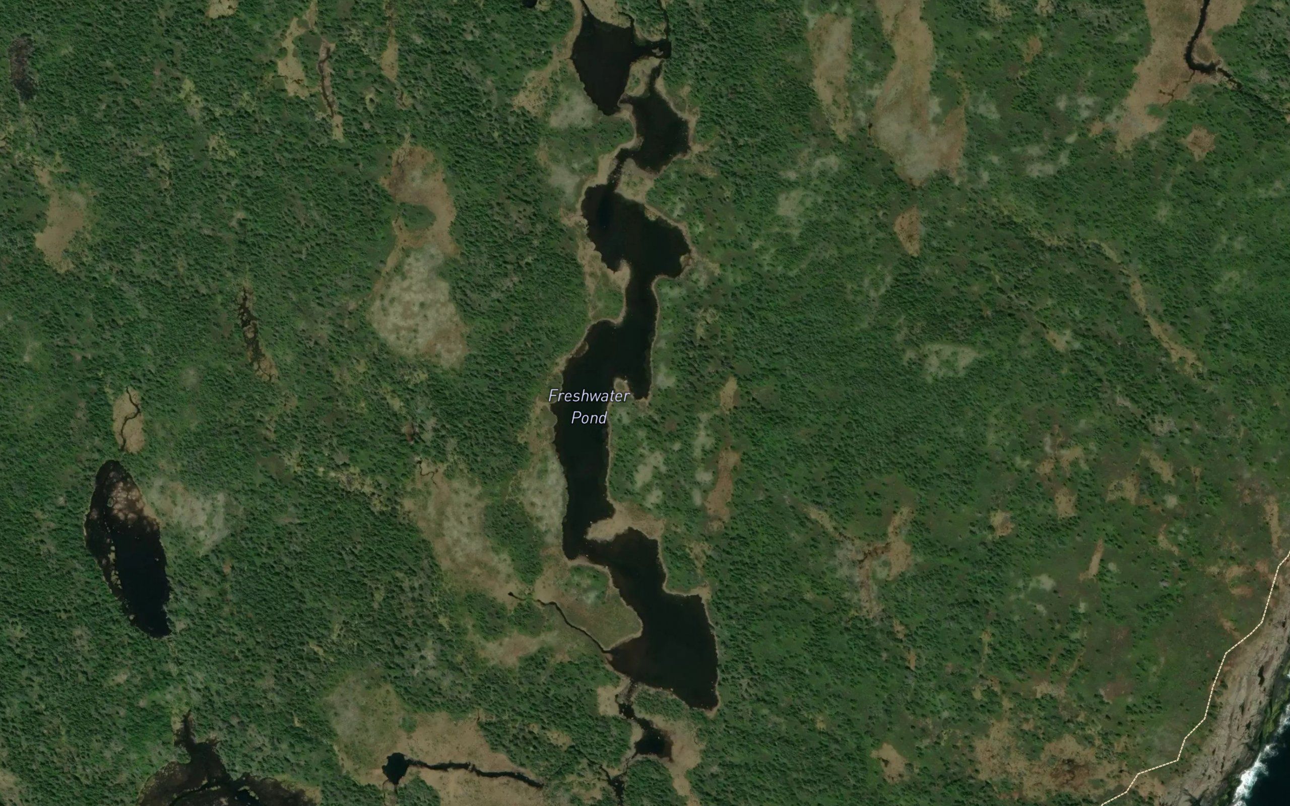 Freshwater Pond