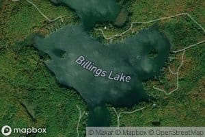 Billings Lake