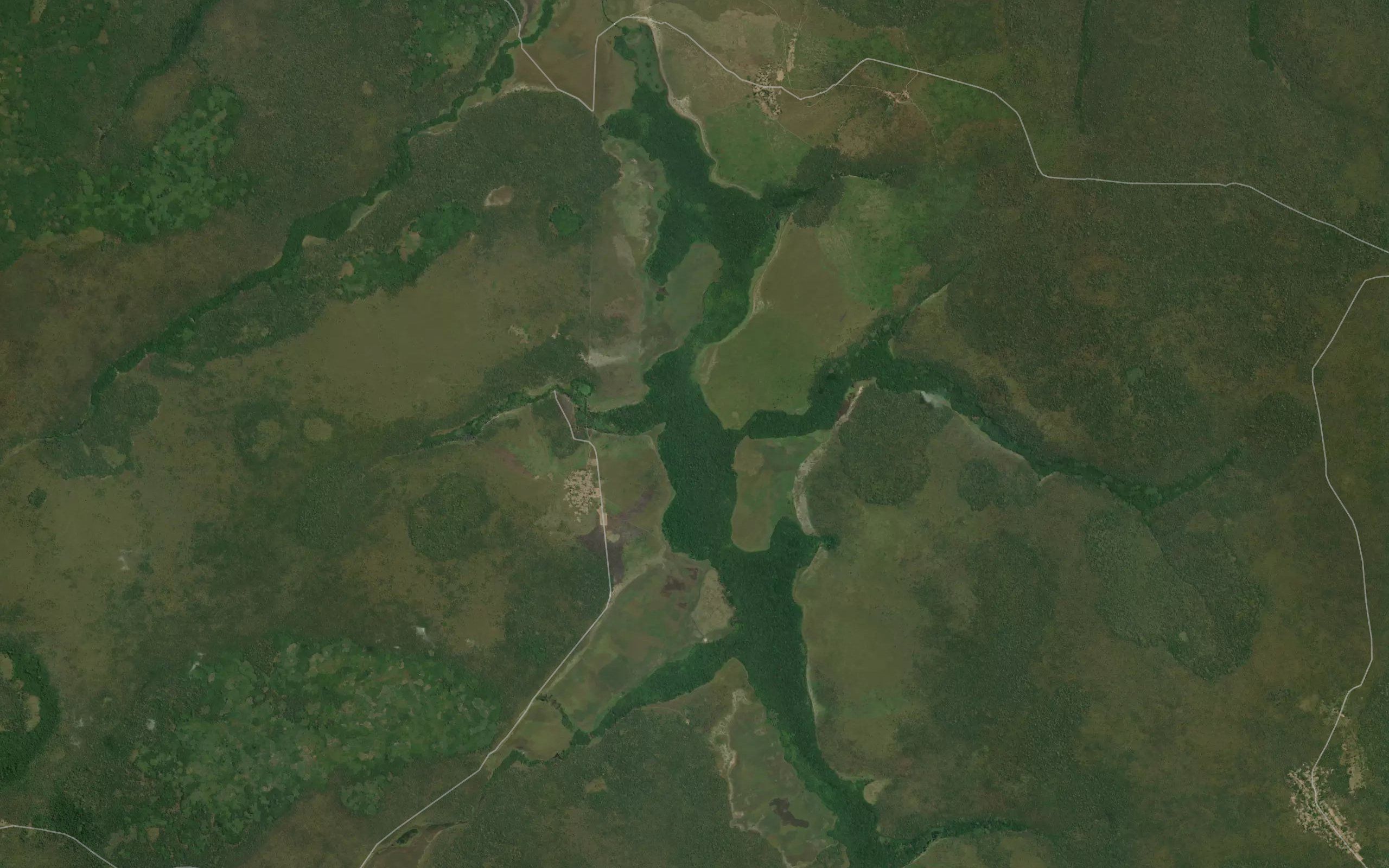 Kingala