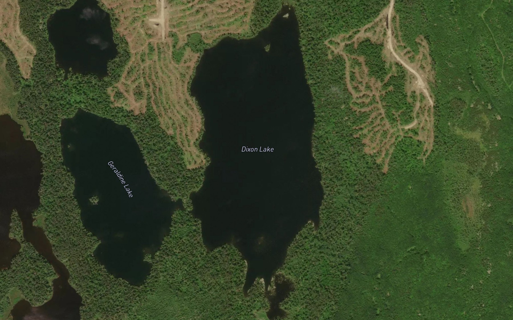 Satellite map of the Dixon Lake