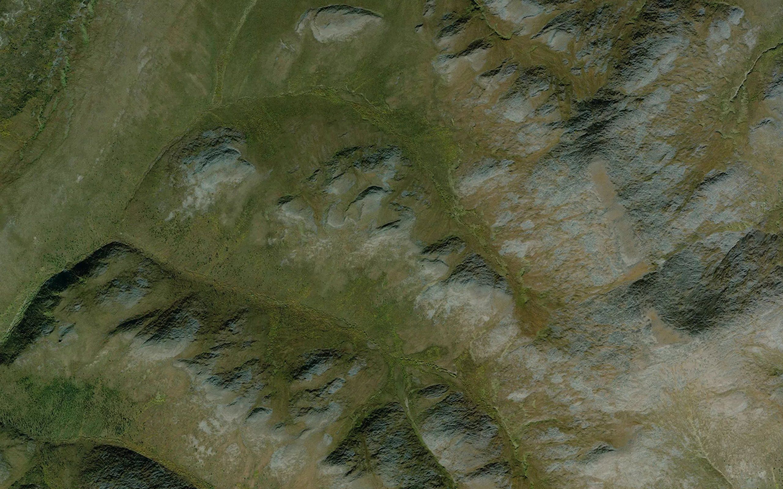 Mogul Creek