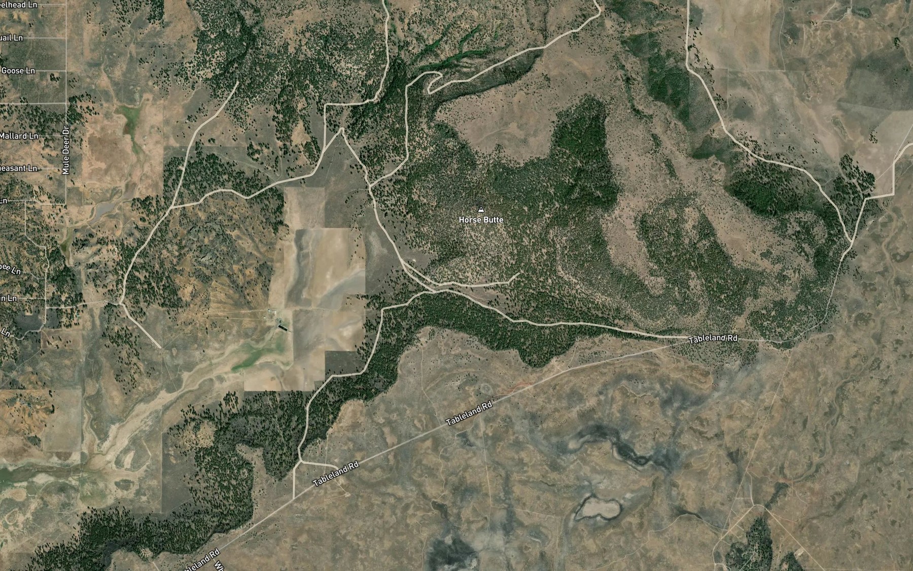 Satellite map of the Chipps Spring
