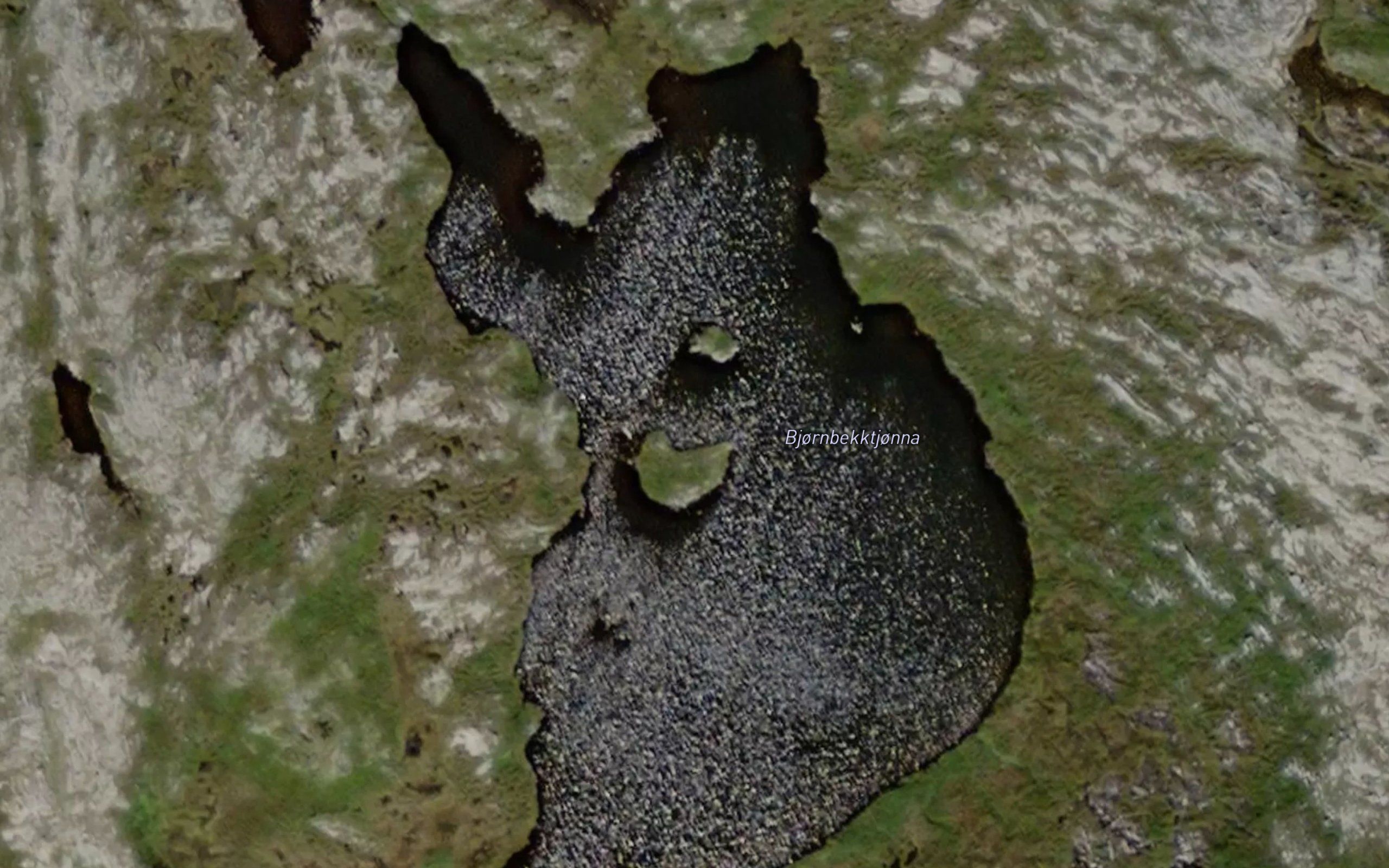 Bjornbekktjorna