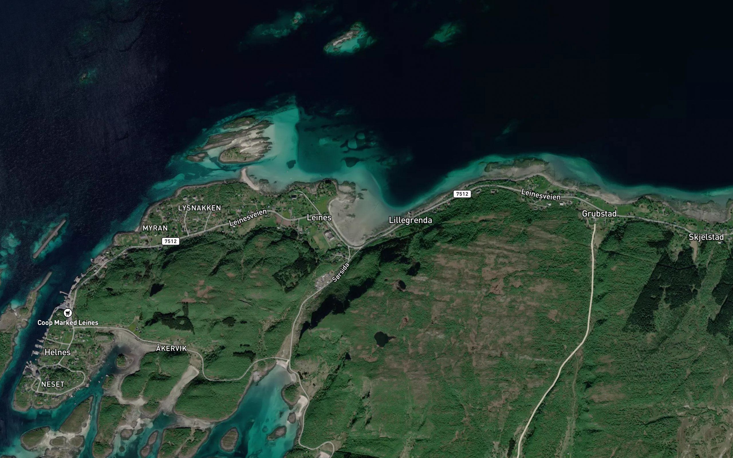 Leinesvika