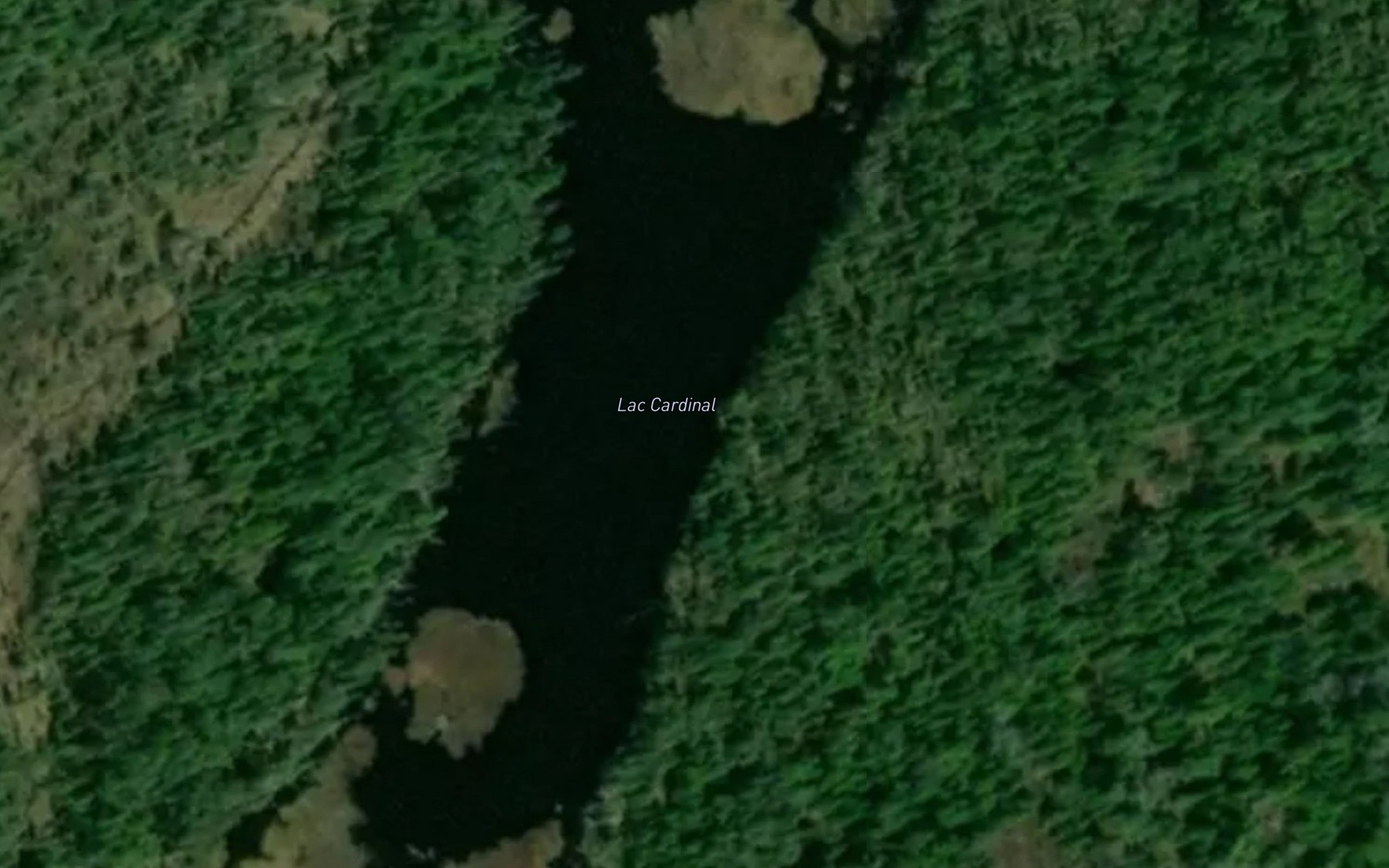 Satellite map of the Lac Cardinal