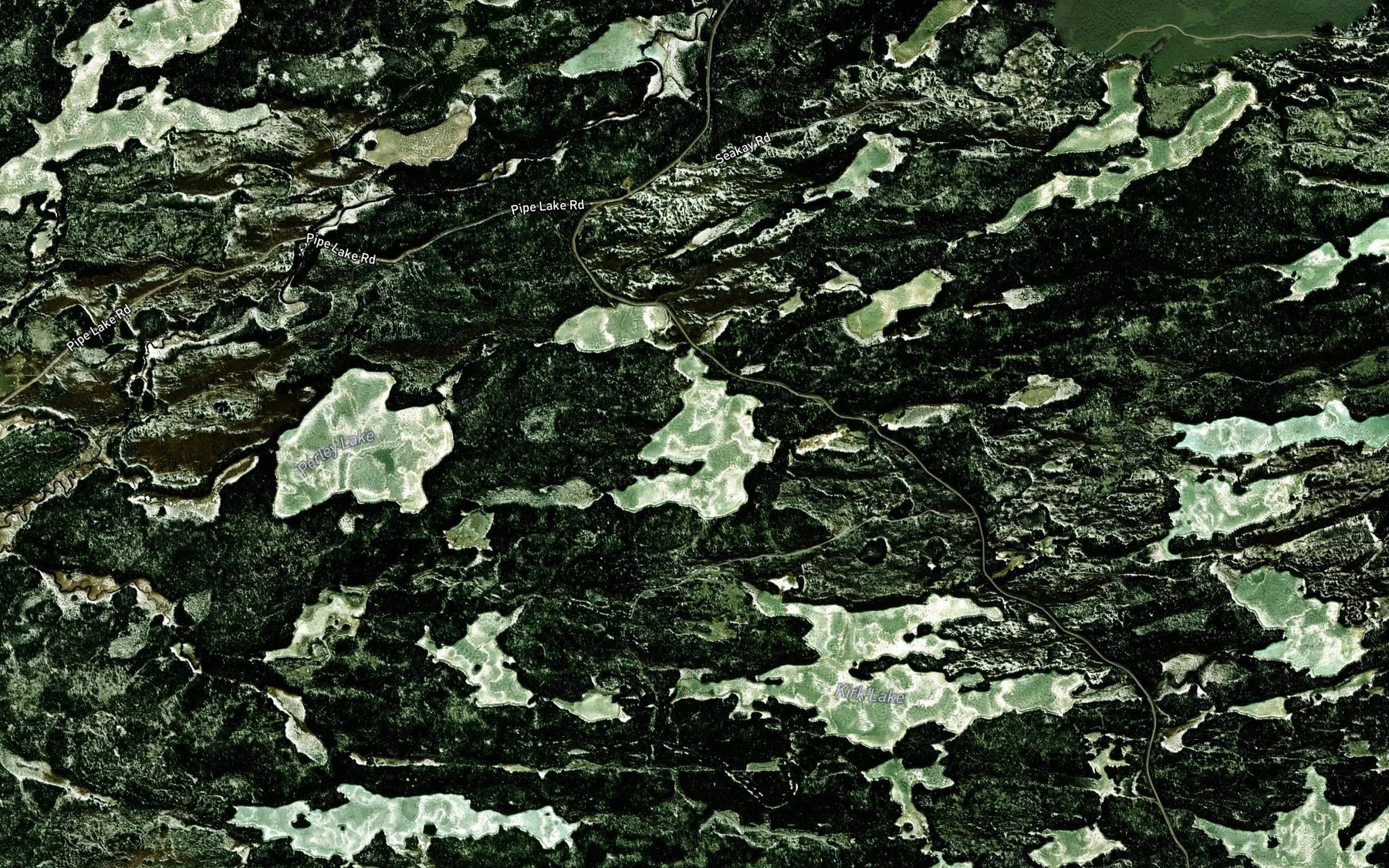 Satellite map of the Roadside Lake