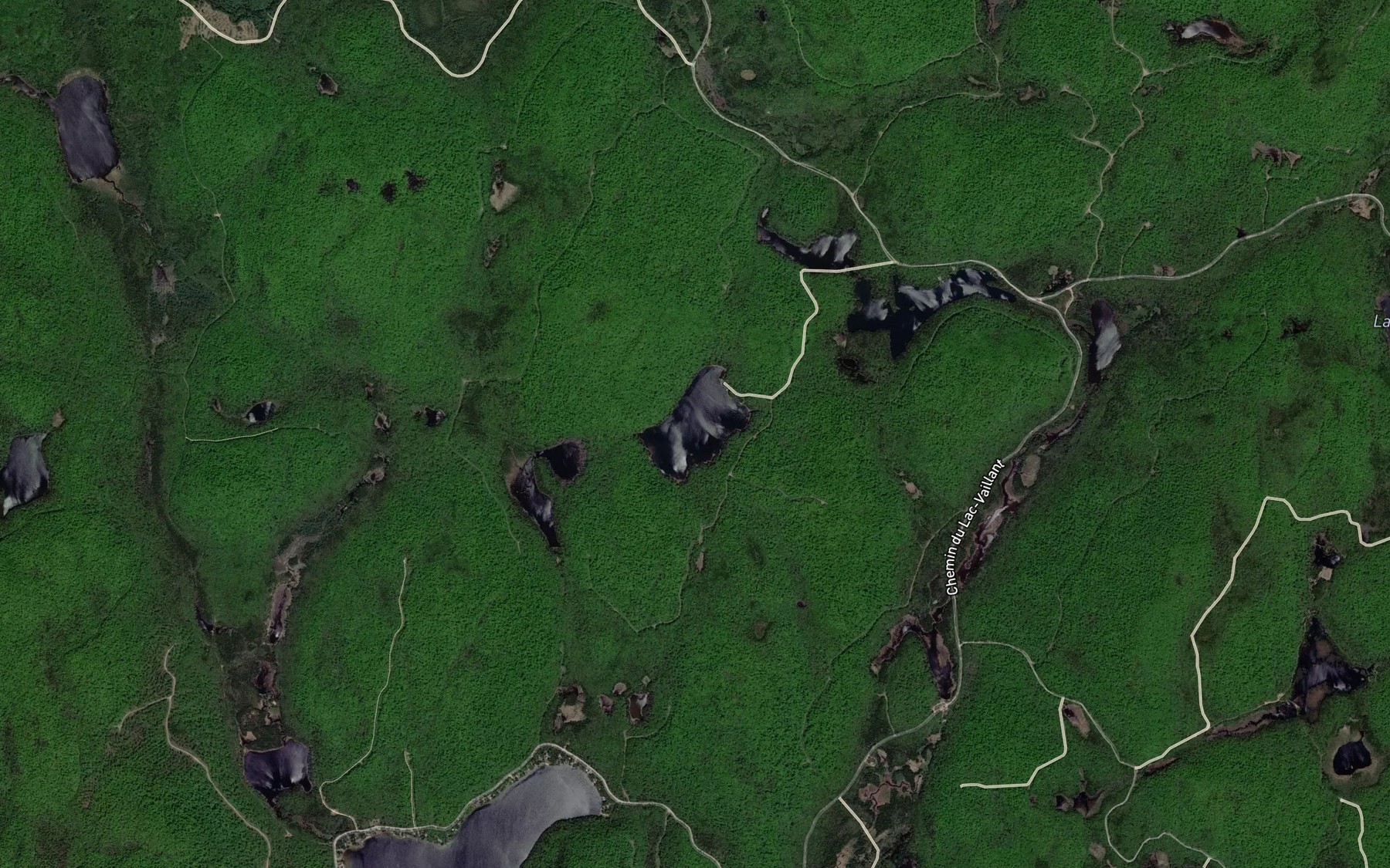 Satellite map of the Lac Adrien