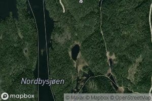 Brasmetjern