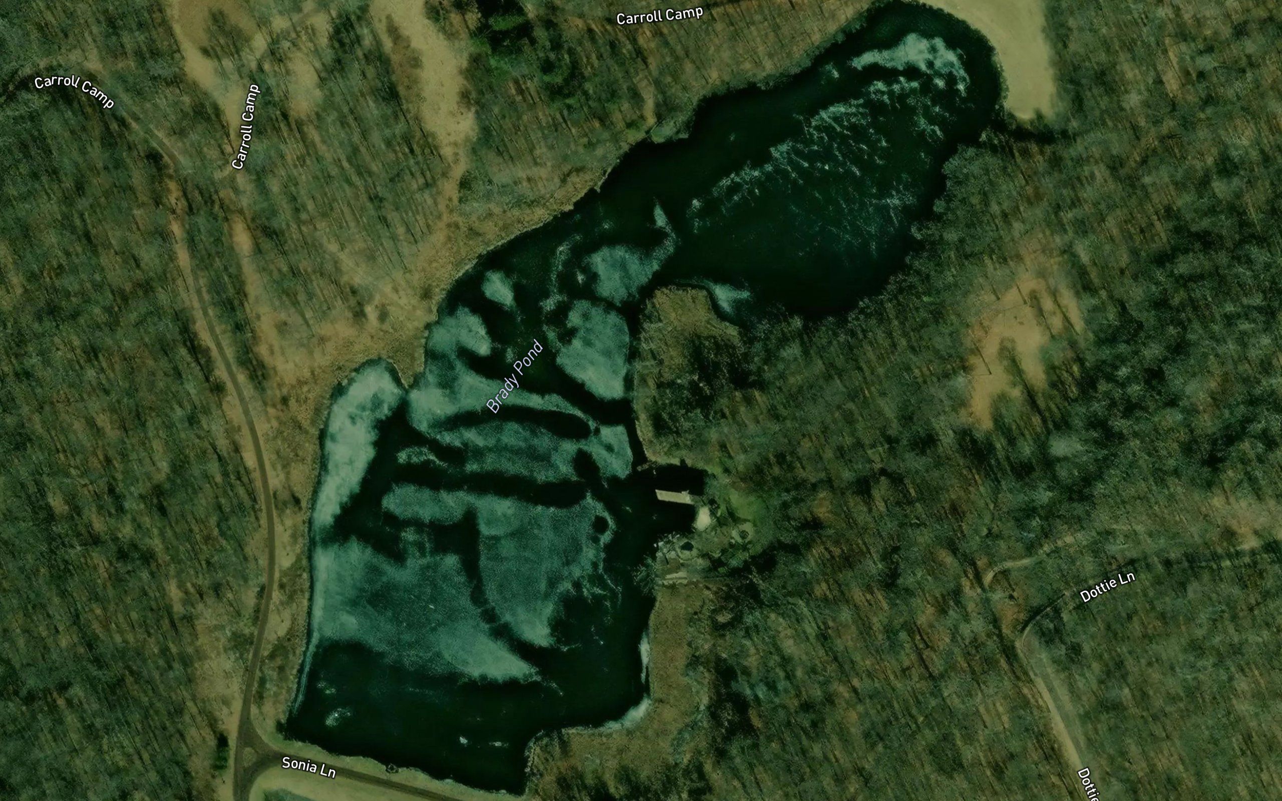 Brady Pond