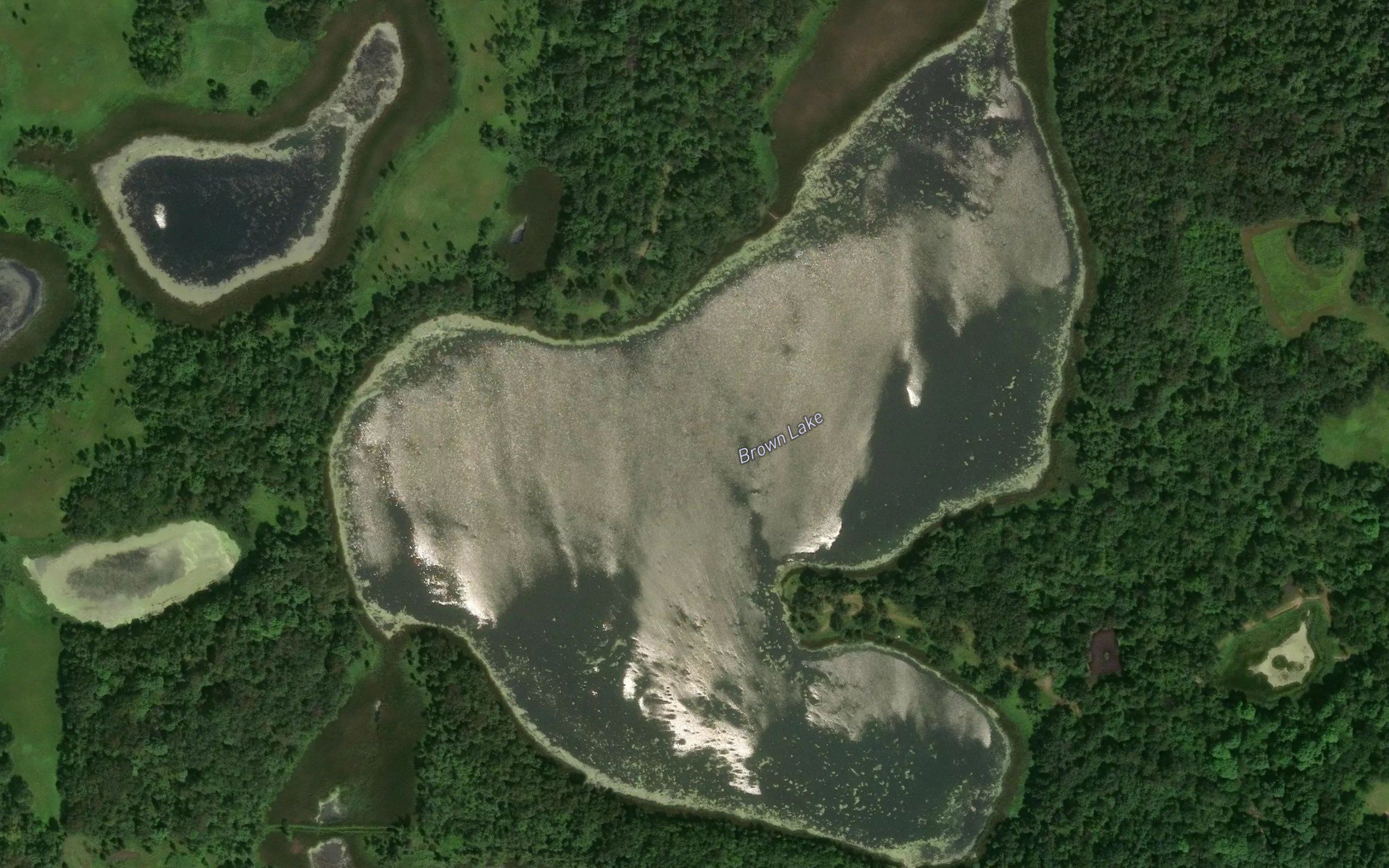Brown Lake