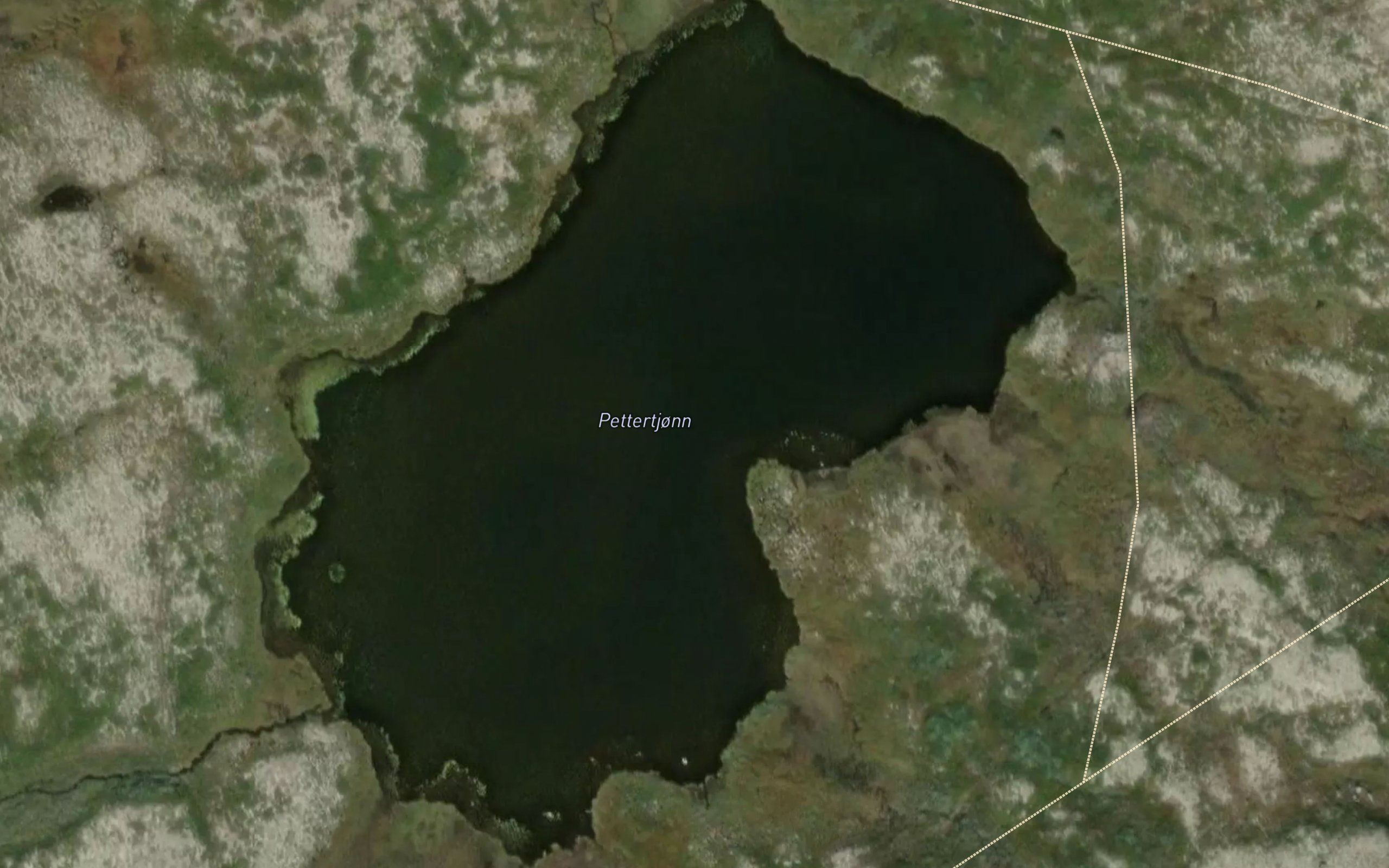 Pettertjernet