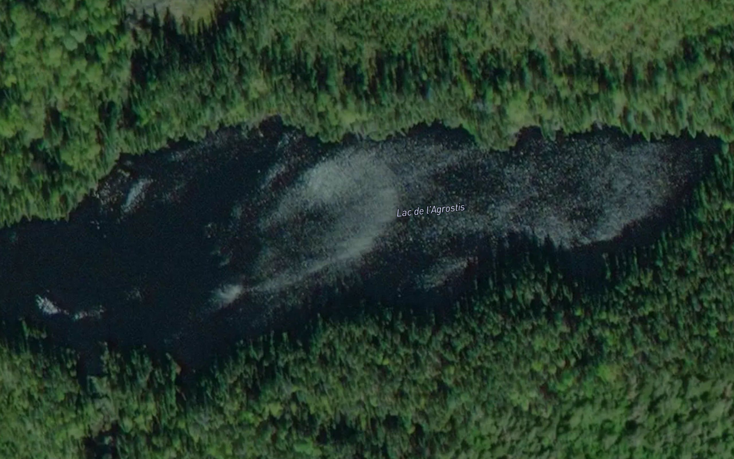 Lac de l'Agrostis