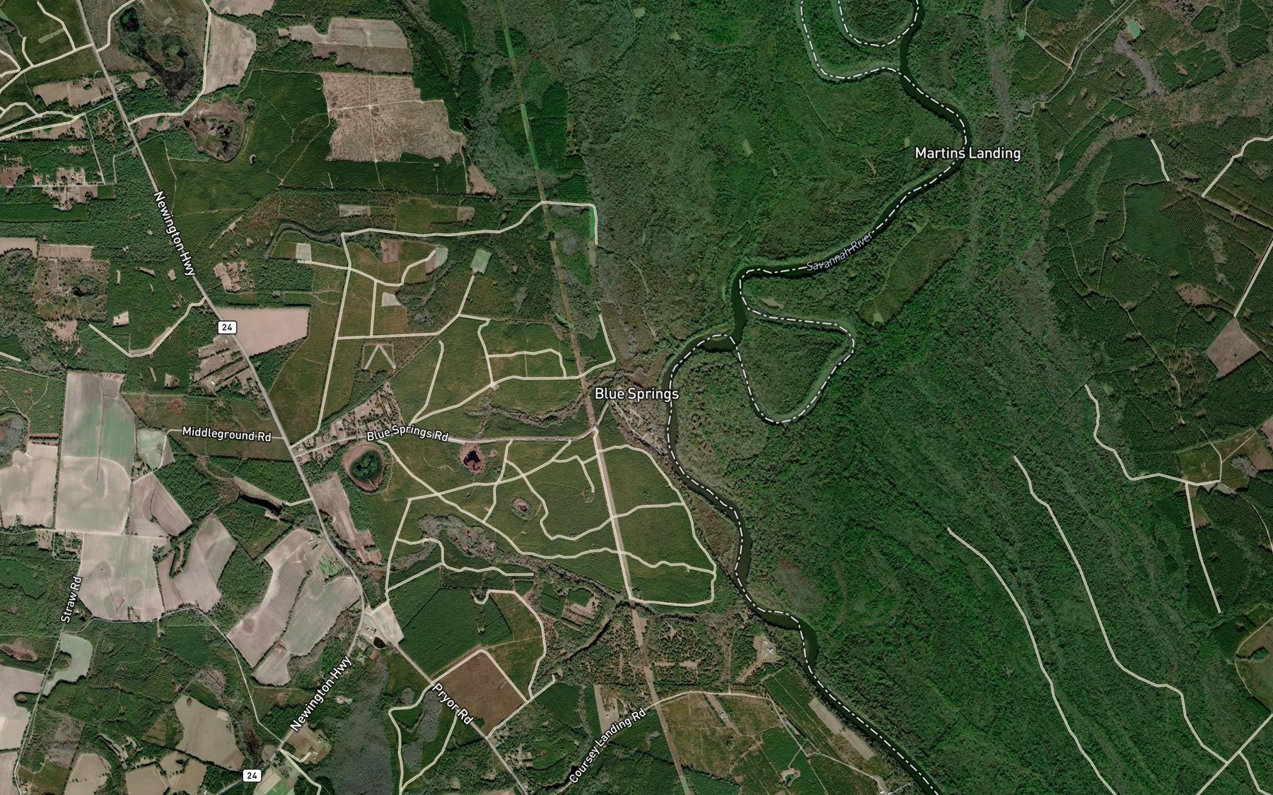 Satellite map of the Blue Springs